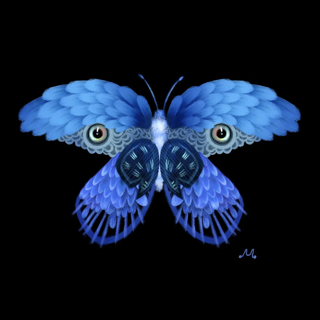 1 Brazilian Morpho.jpg