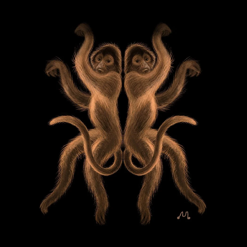 3 Spider Monkey.jpg