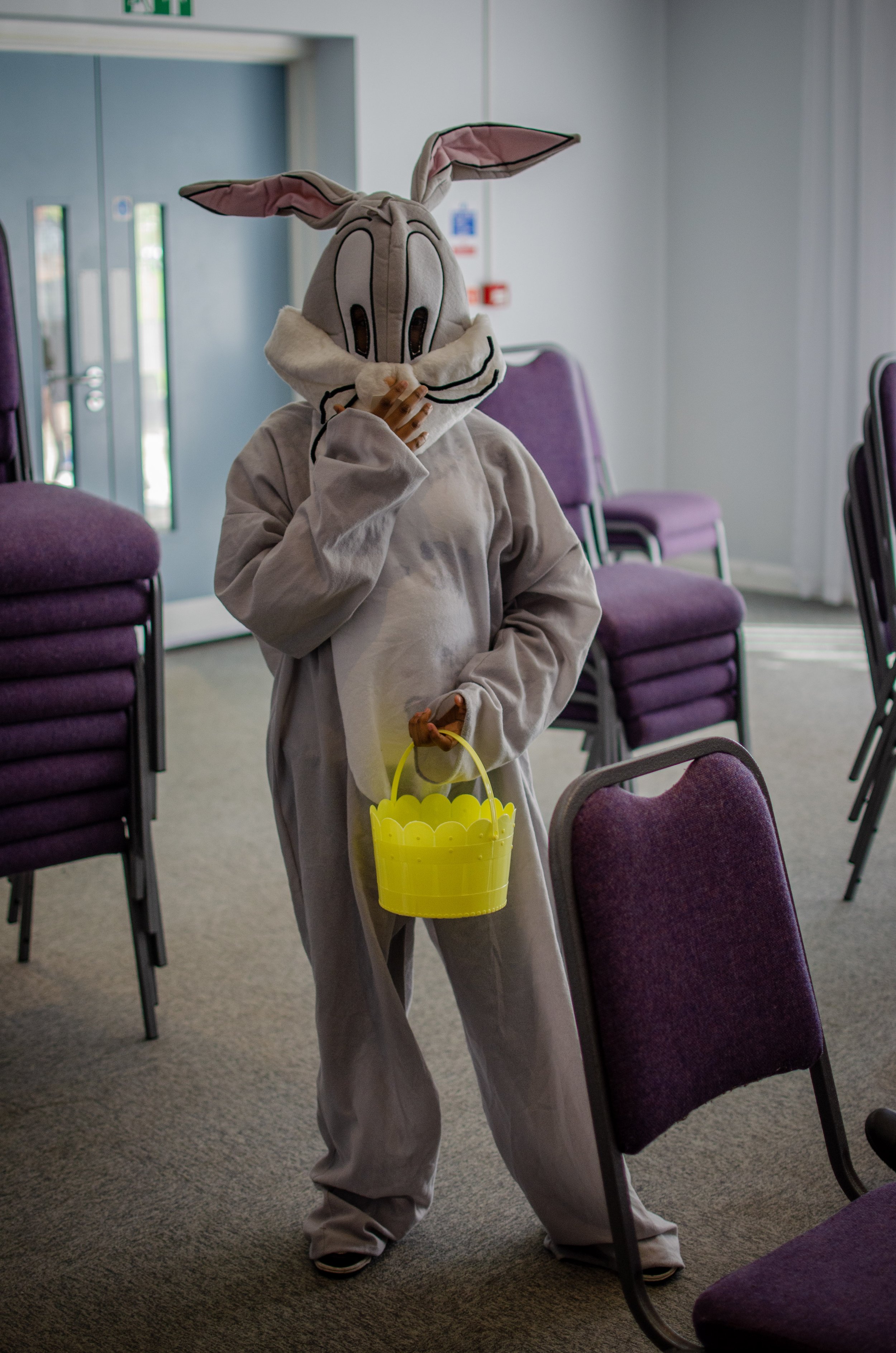 A bunny with a basket
