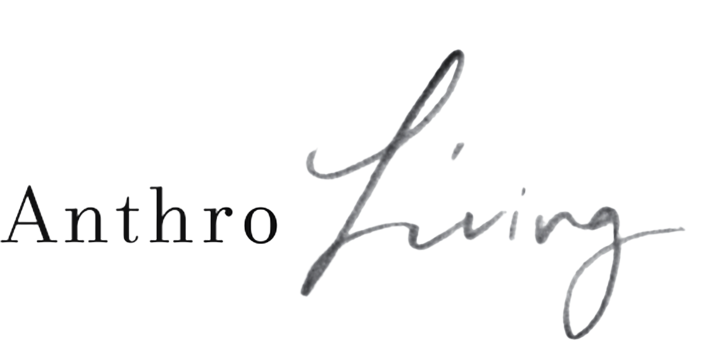 A logo with the word 'Anthro' in black and yellow letters, with a silver cursive signature overlay and a gray and multicolored abstract background.