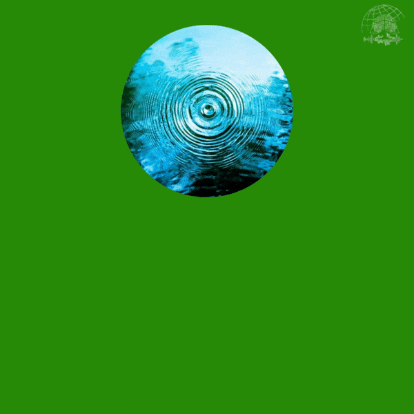 Episode 05: Inside the Mind of an Activist - Thomas Goorden on environmental activism and the PFAS-case in Belgium