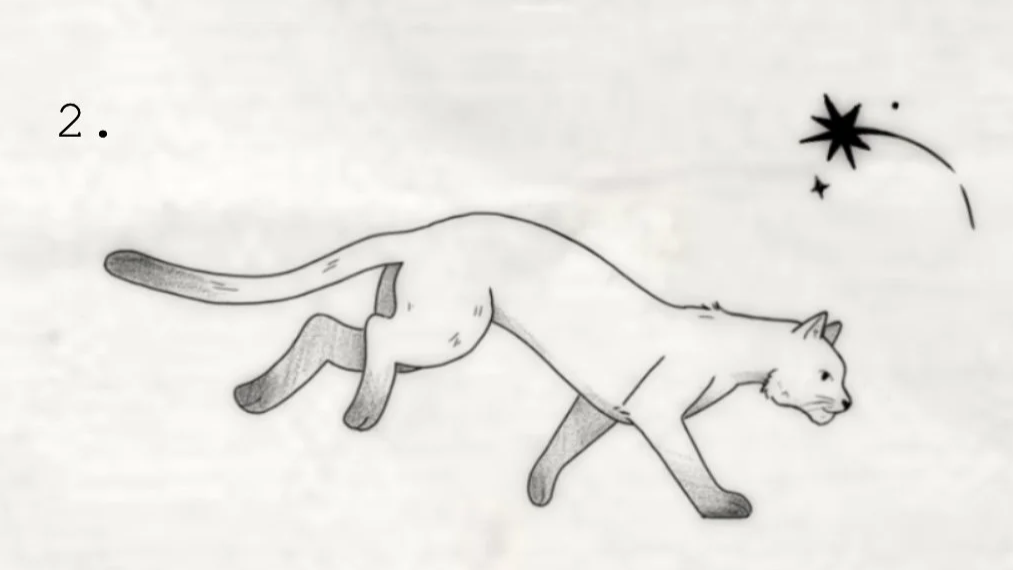IMG_7791.png