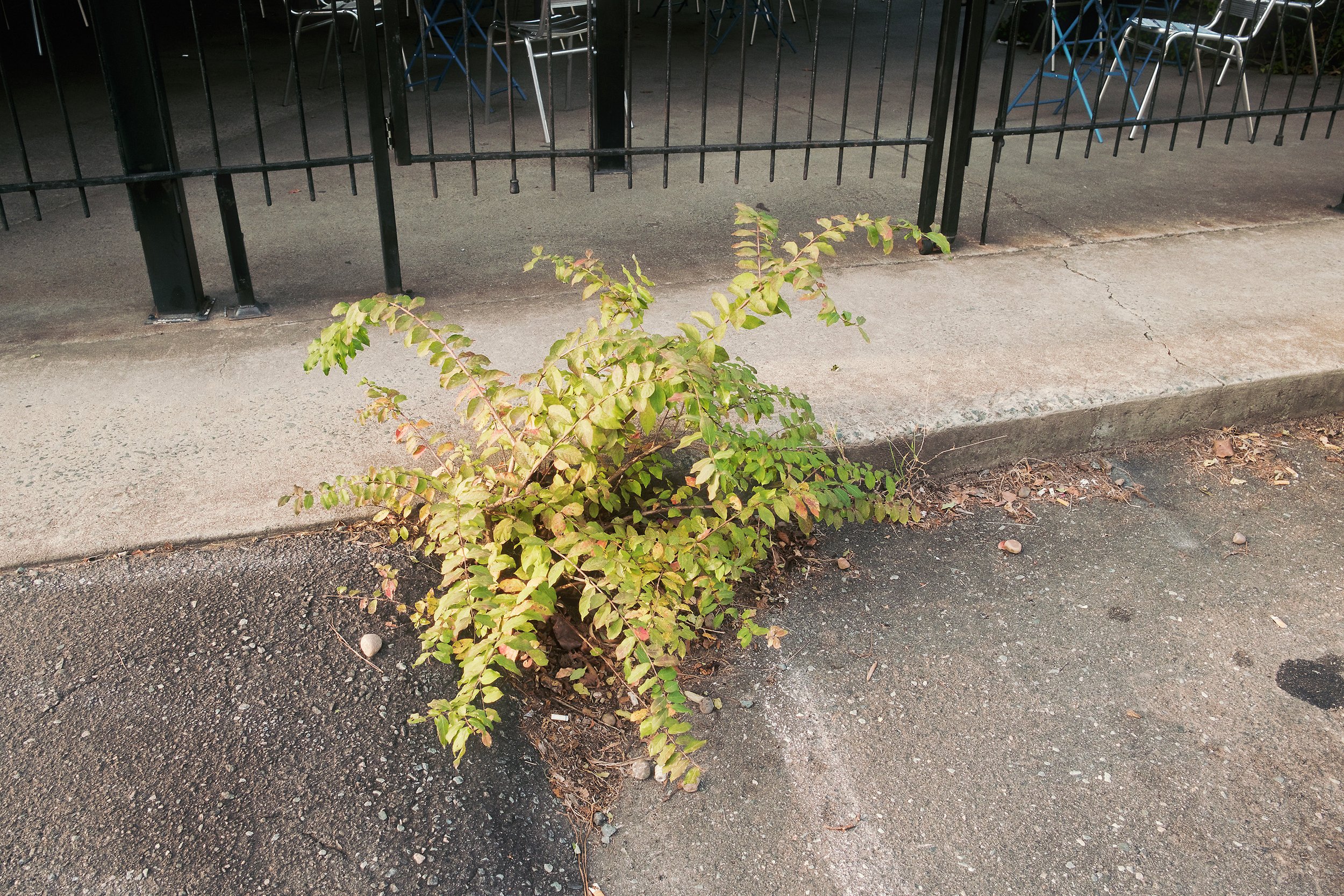 20260928-DSCF3982.jpg