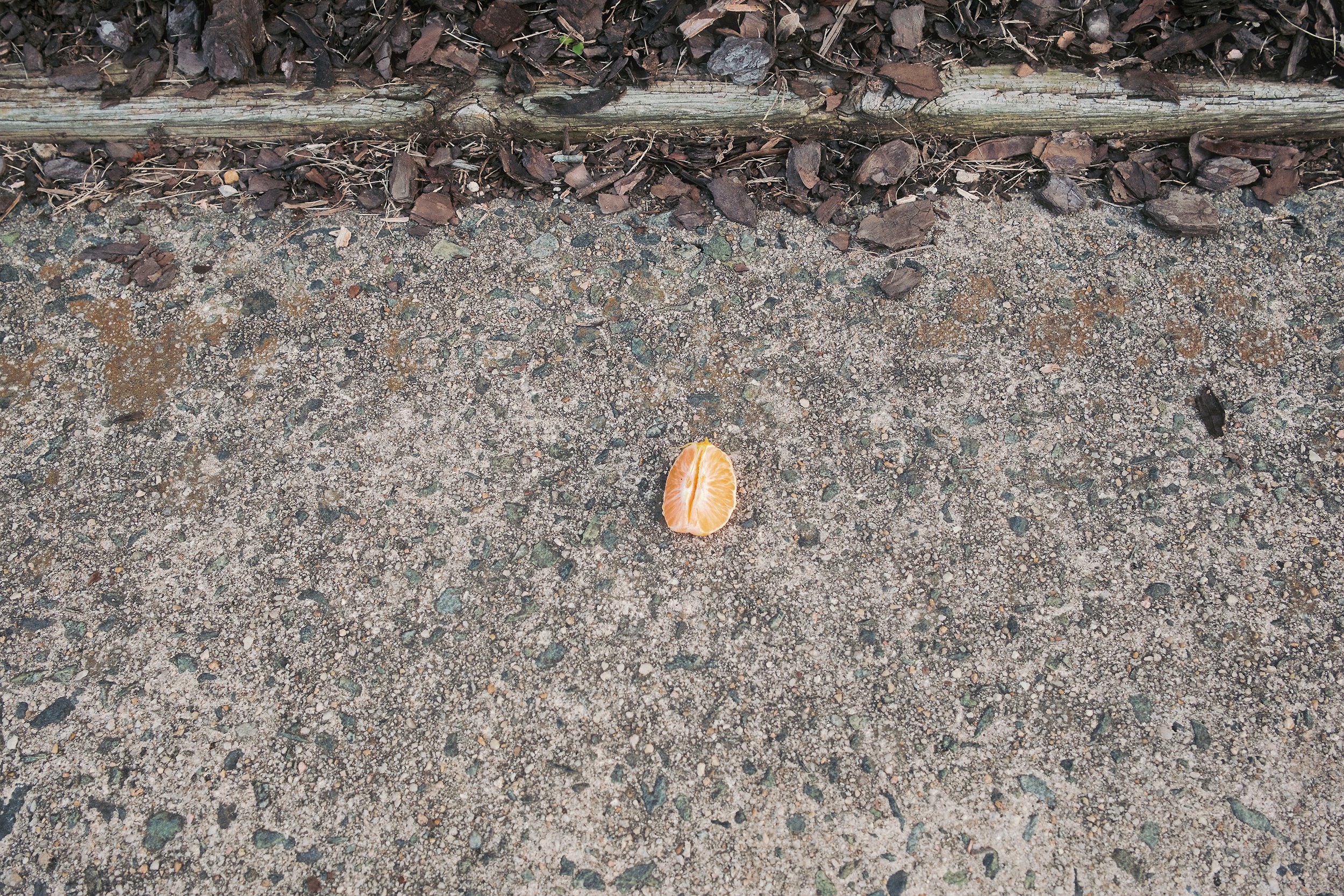 20260928-DSCF3948.jpg