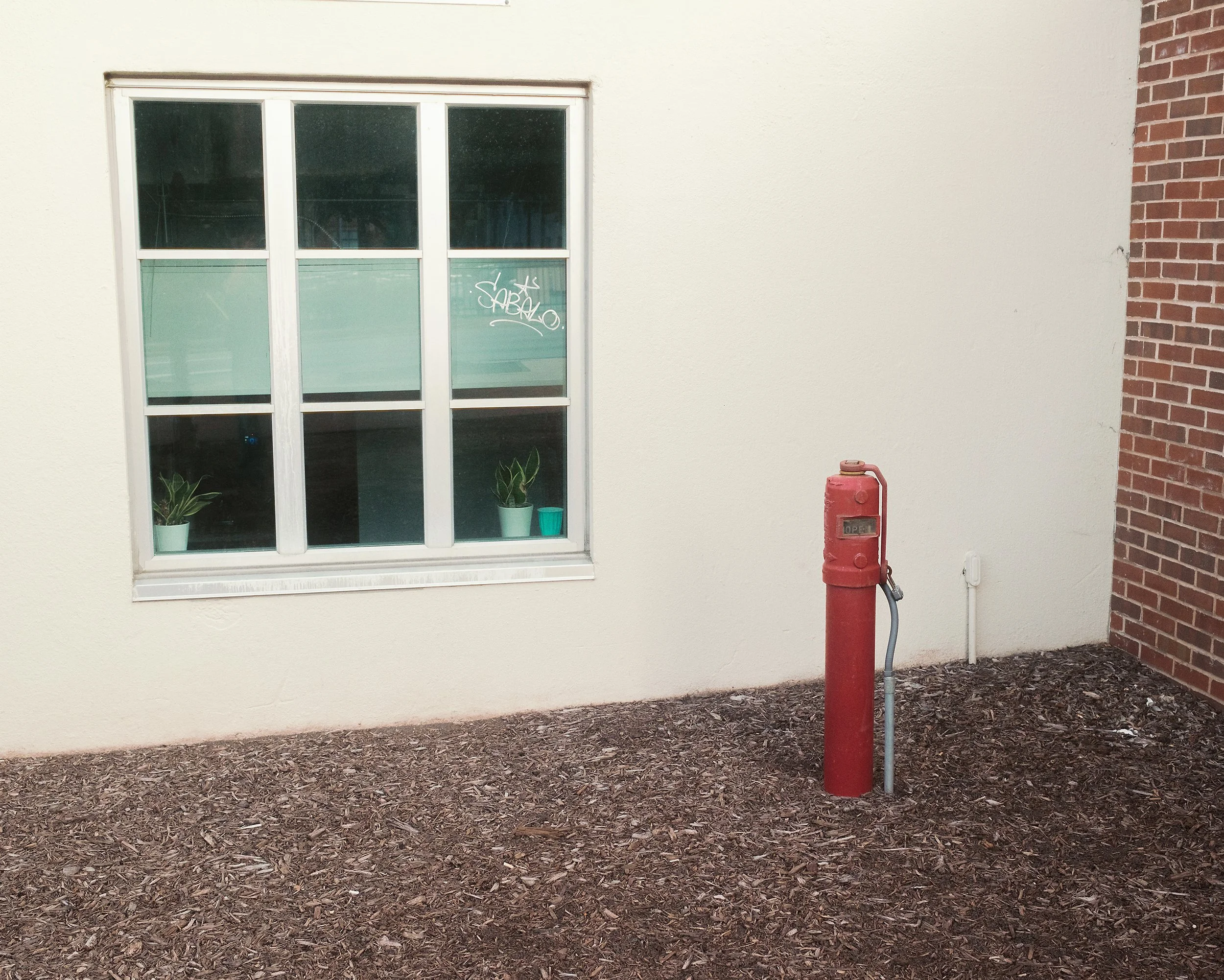 20260917-DSCF2615.jpg