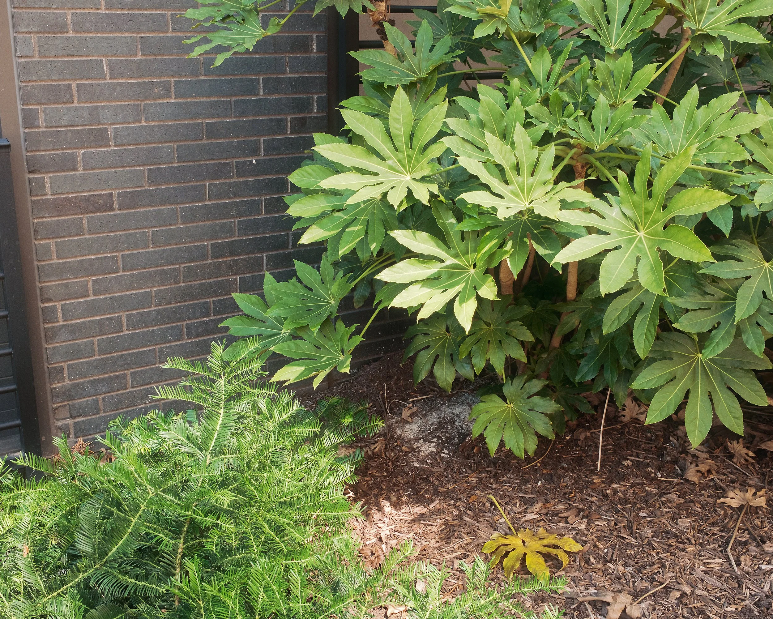 20260917-DSCF2590.jpg