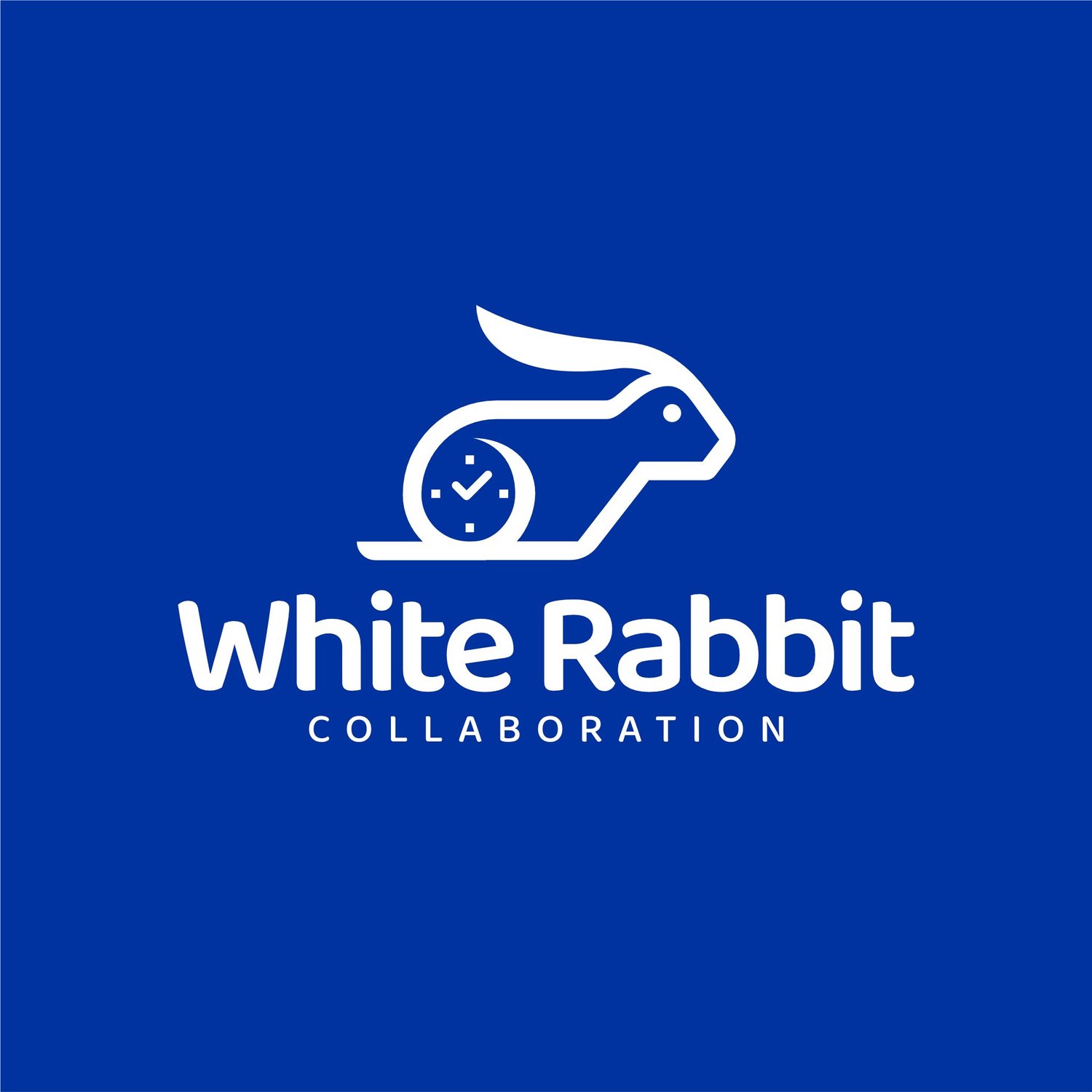 White Rabbit Network _ Cern White Rabbit Manual – DQMT