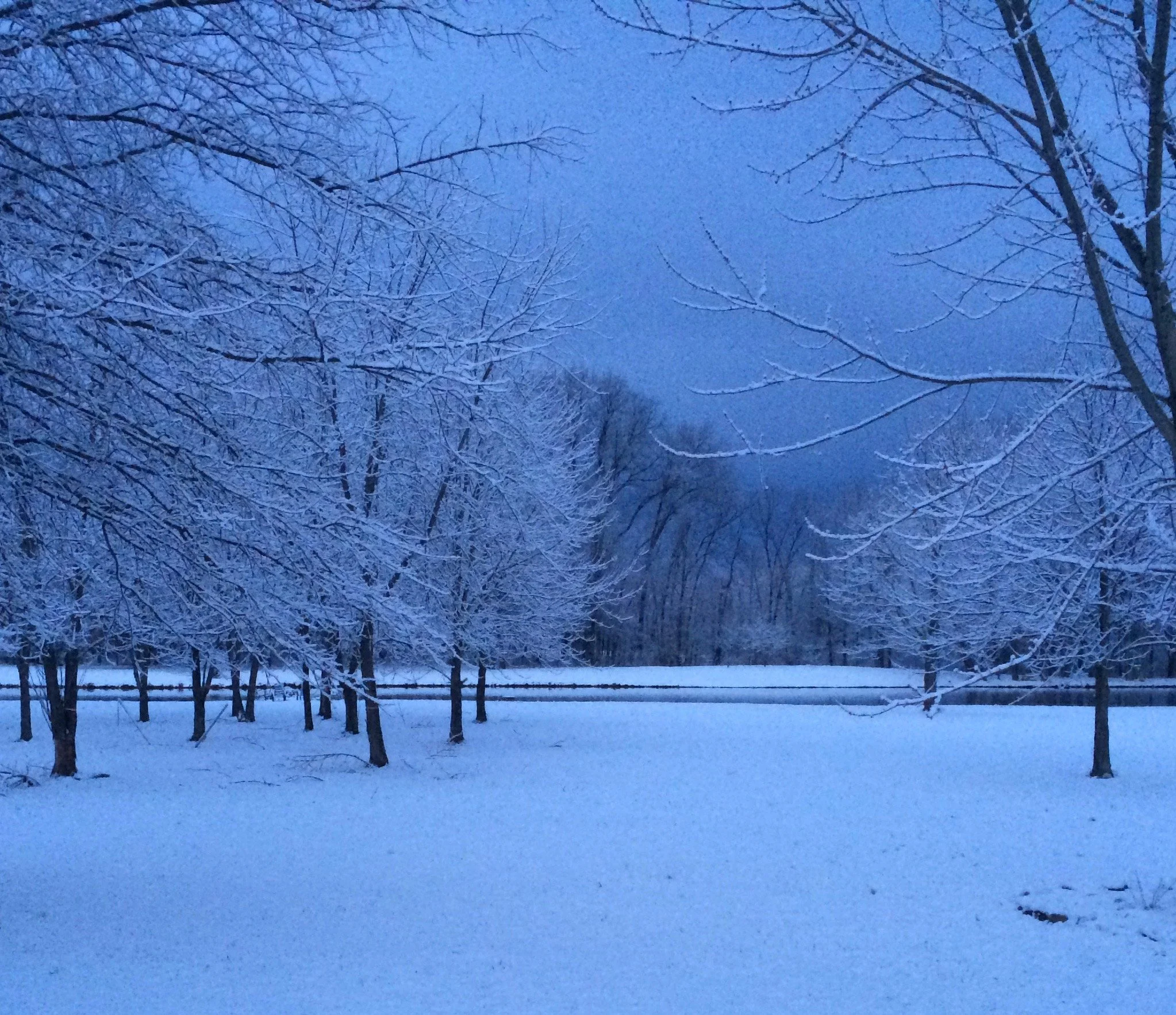 Big Fish Farms Amercian Paddlefish Caviar Bethel, OH