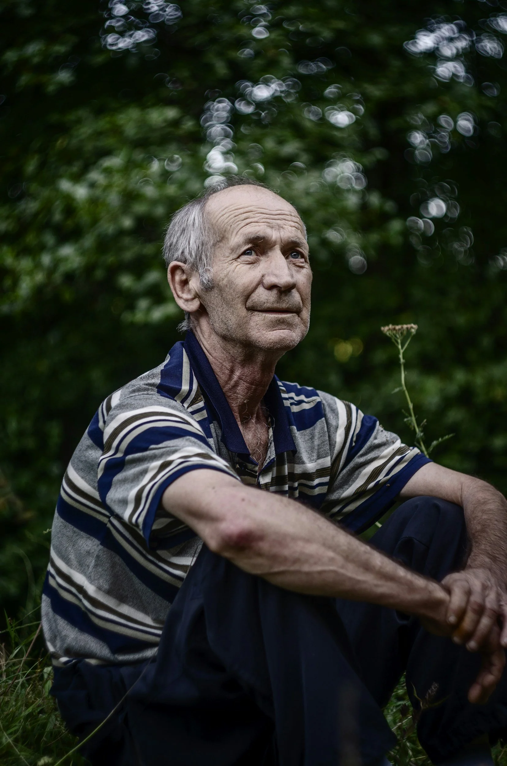 An elderly man with gray hair and a striped polo shirt sitting outdoors among greenery, with a contemplative expression.
