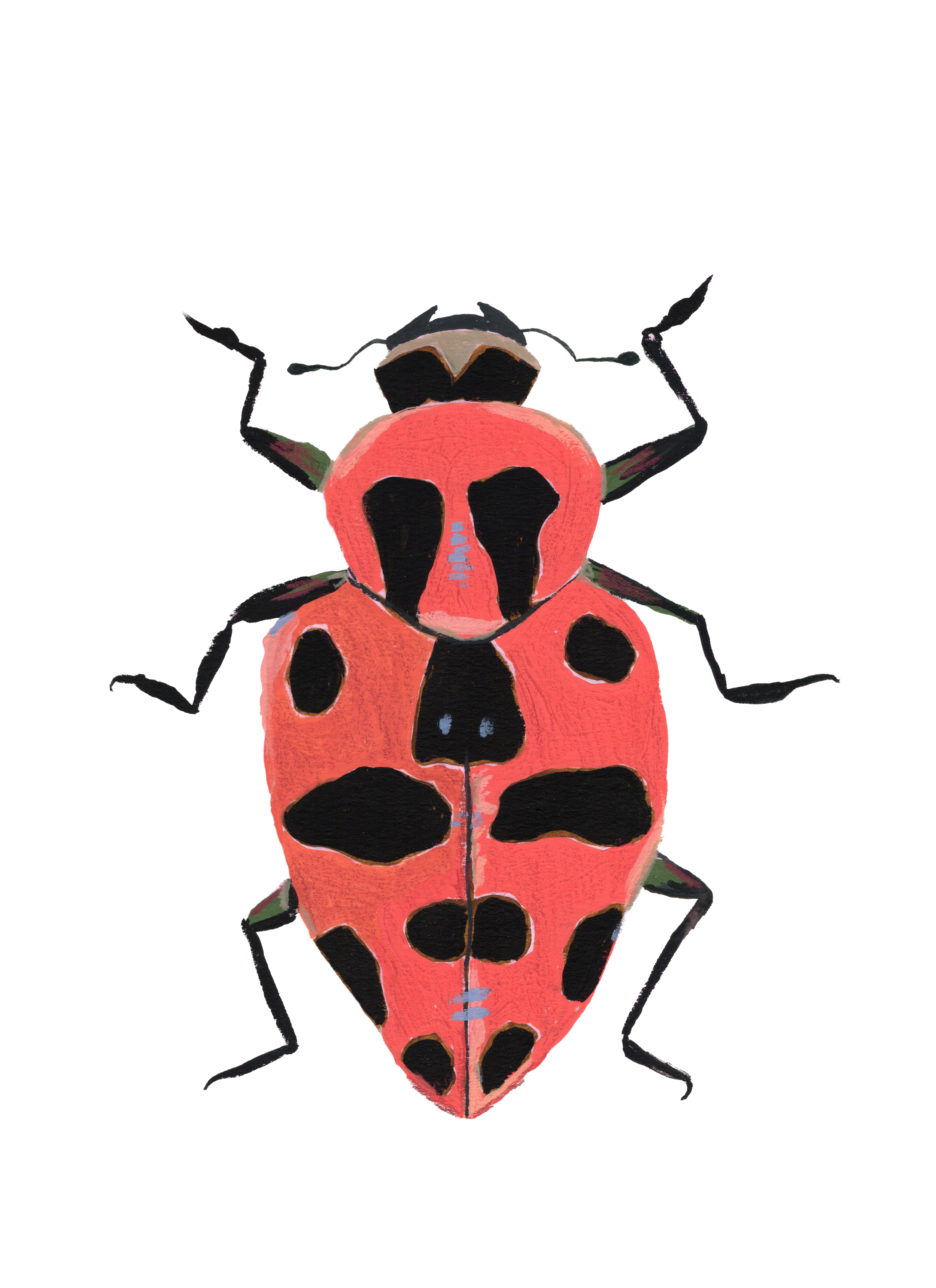 beetleprint3.png