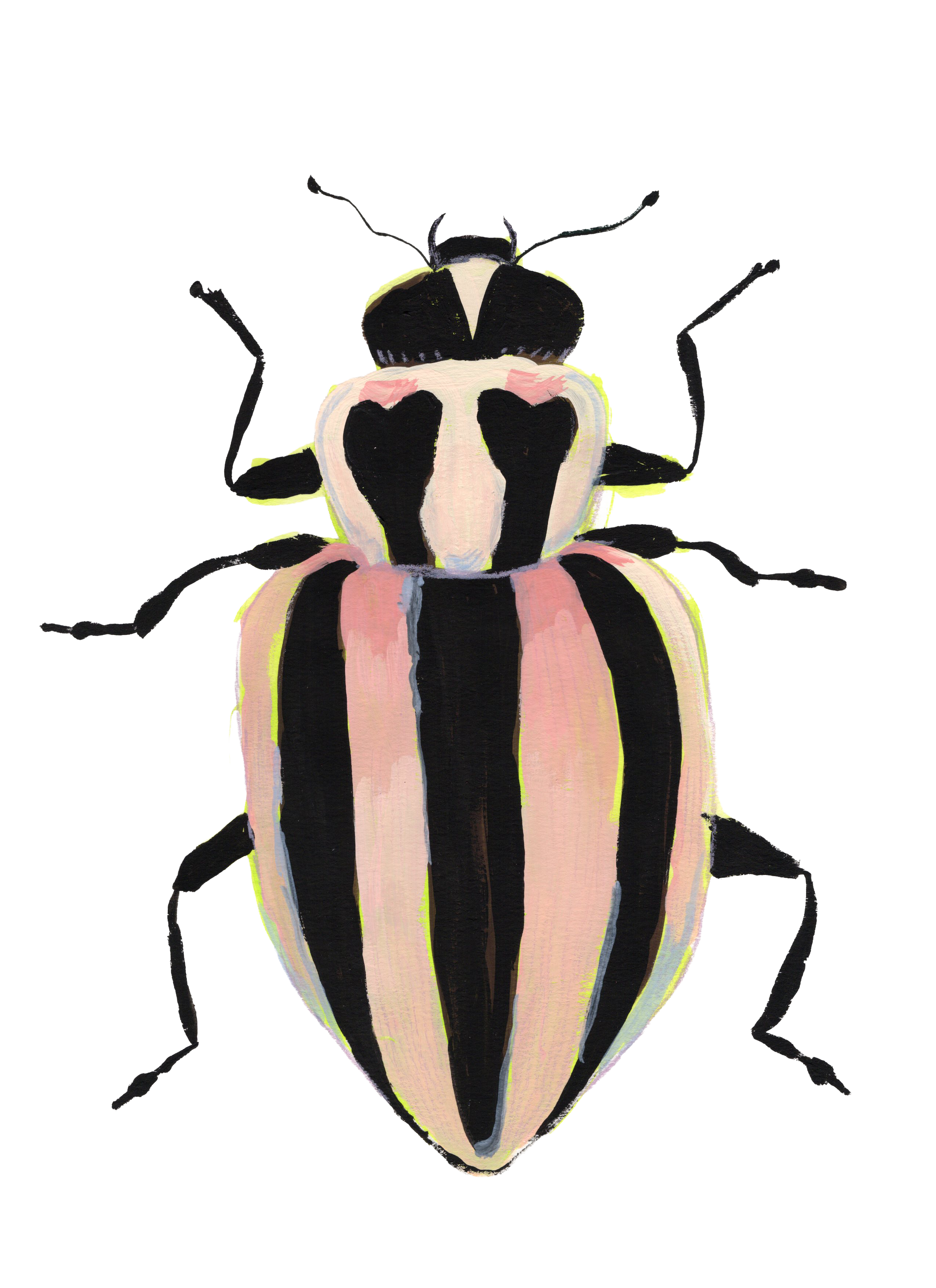 Beetle No. 4