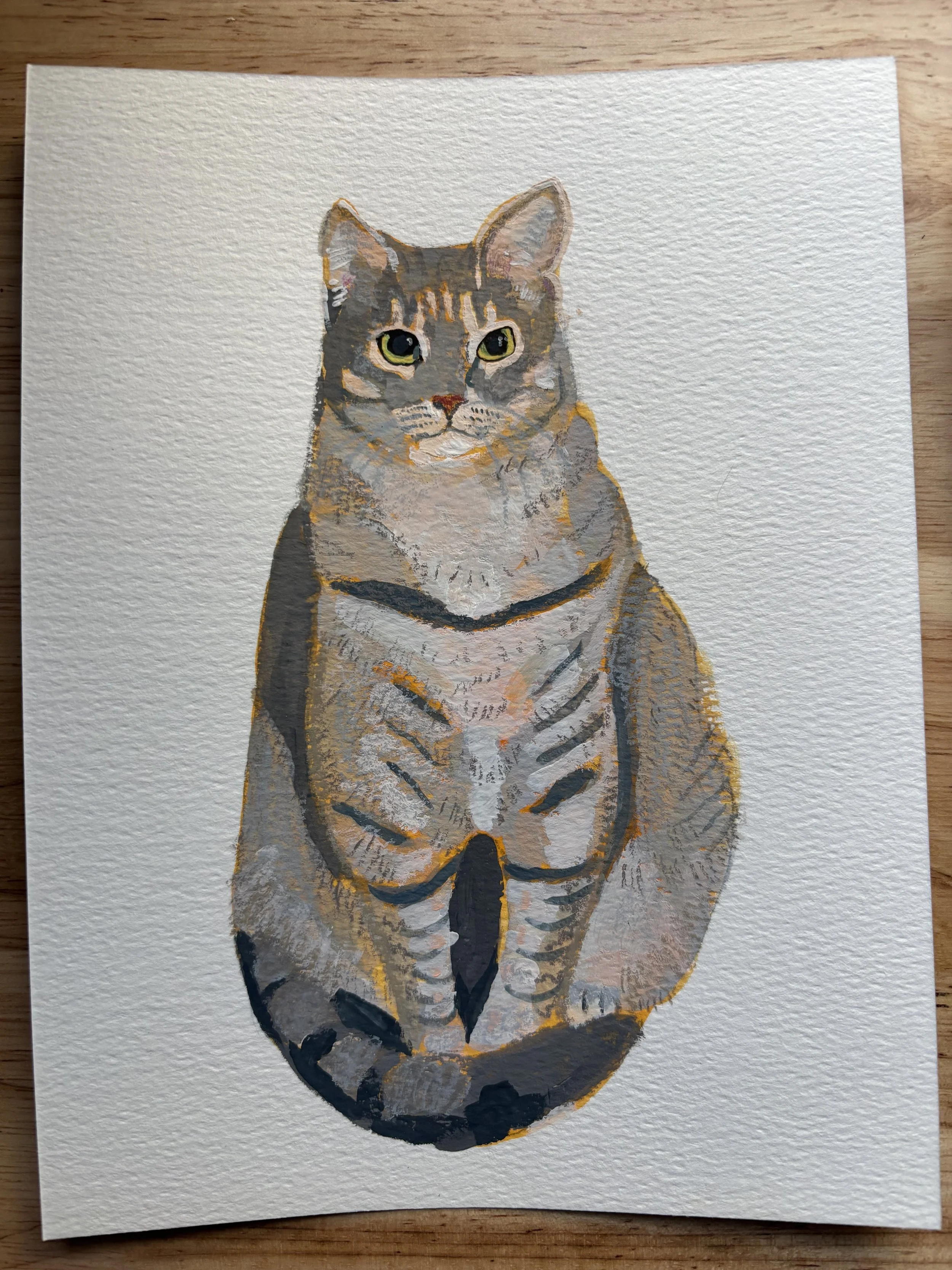 Grey tabby cat sitting, painted in an impressionistic style with gouache and pencil on a cold press watercolor paper.