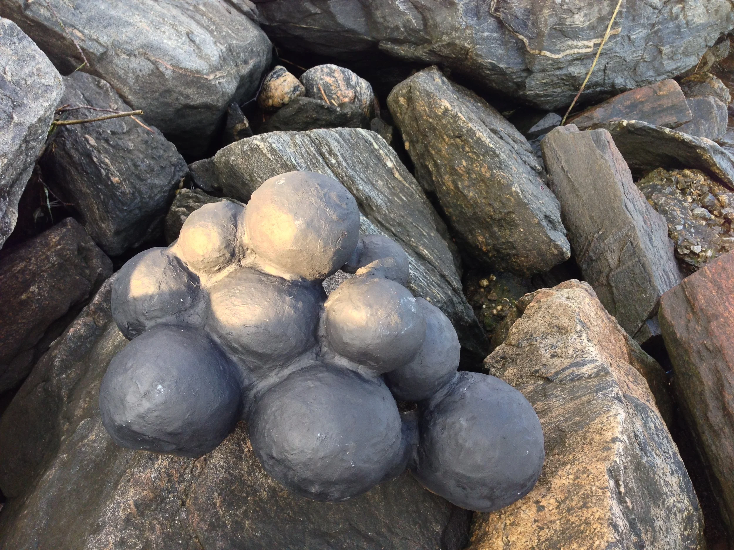 NEST IN CONTEXT - BACK.JPG