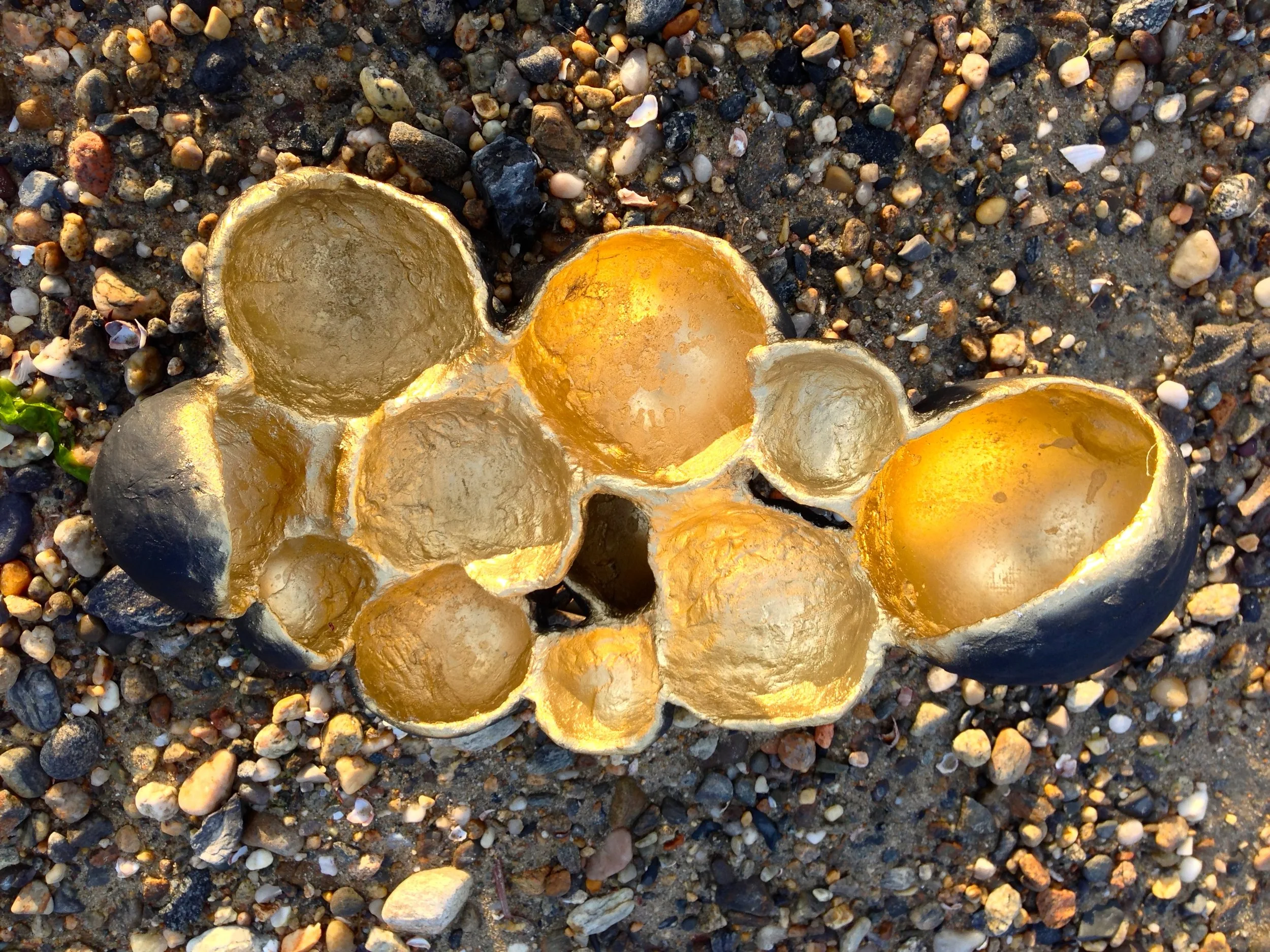 NEST IN CONTEXT - ADTL.JPG