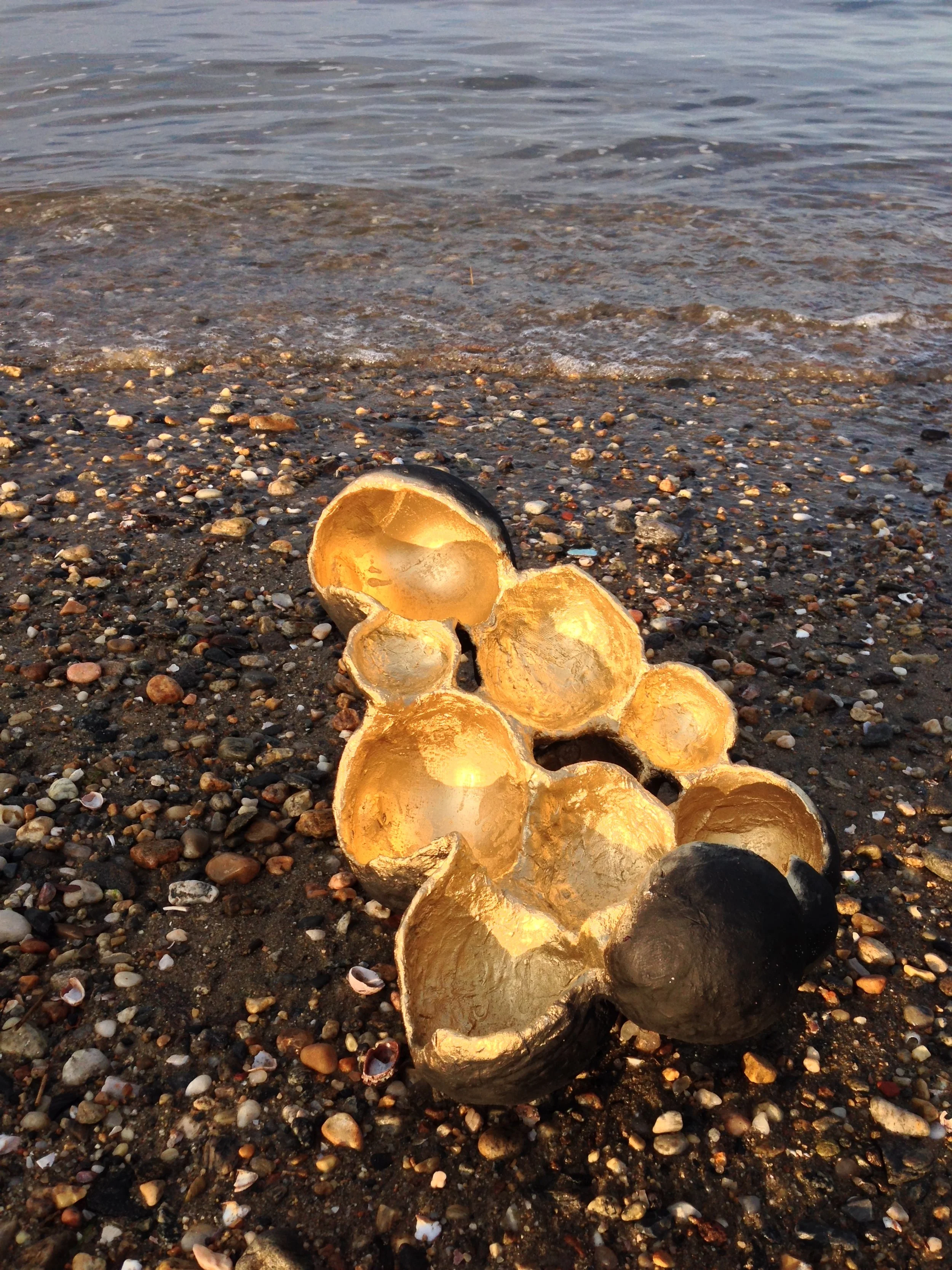 NEST IN CONTEXT - FRONT.JPG