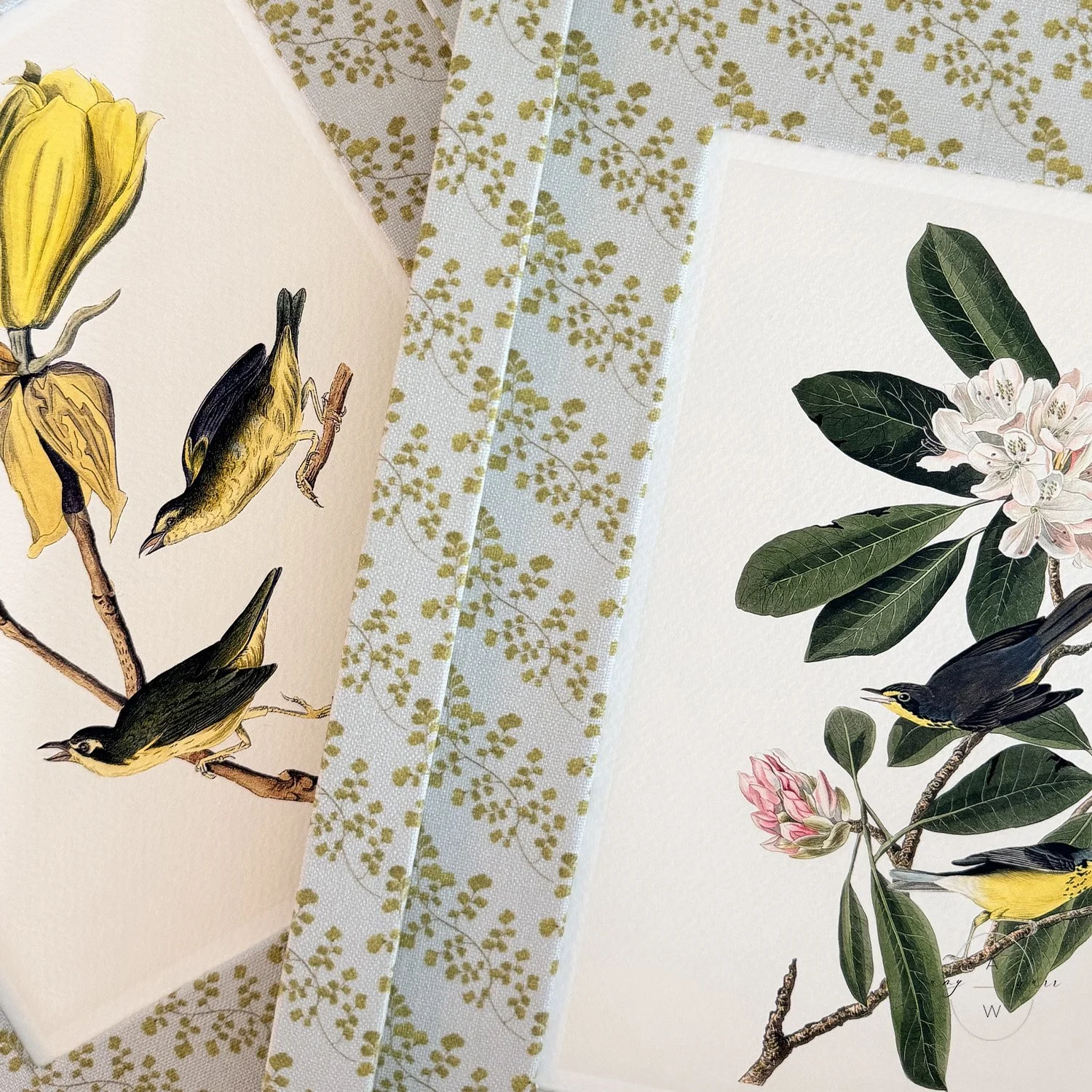 amy-warr-fabric-frame-audubon-illustration.jpg