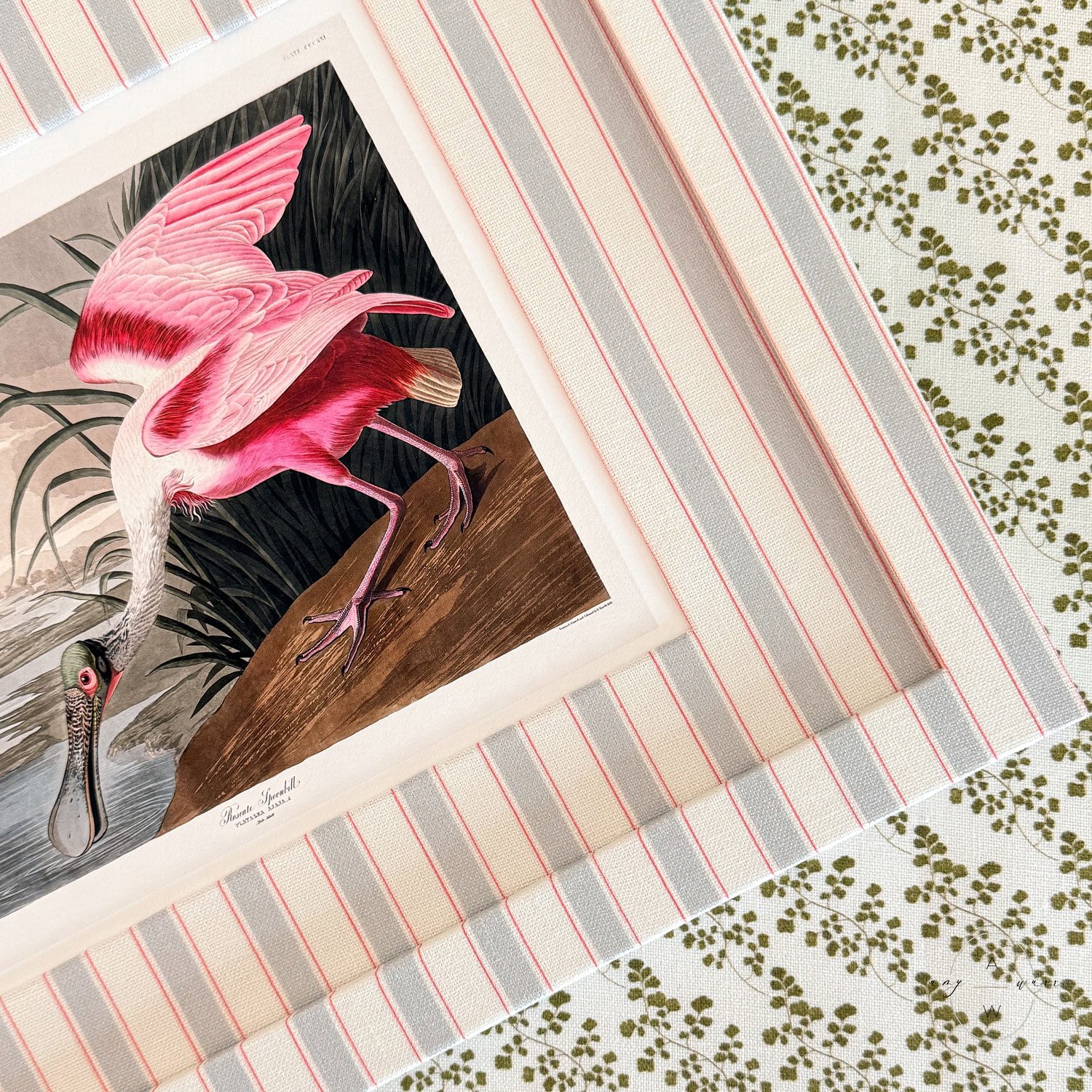 amy-warr-fabric-frames-audubon-print-roseate.jpg