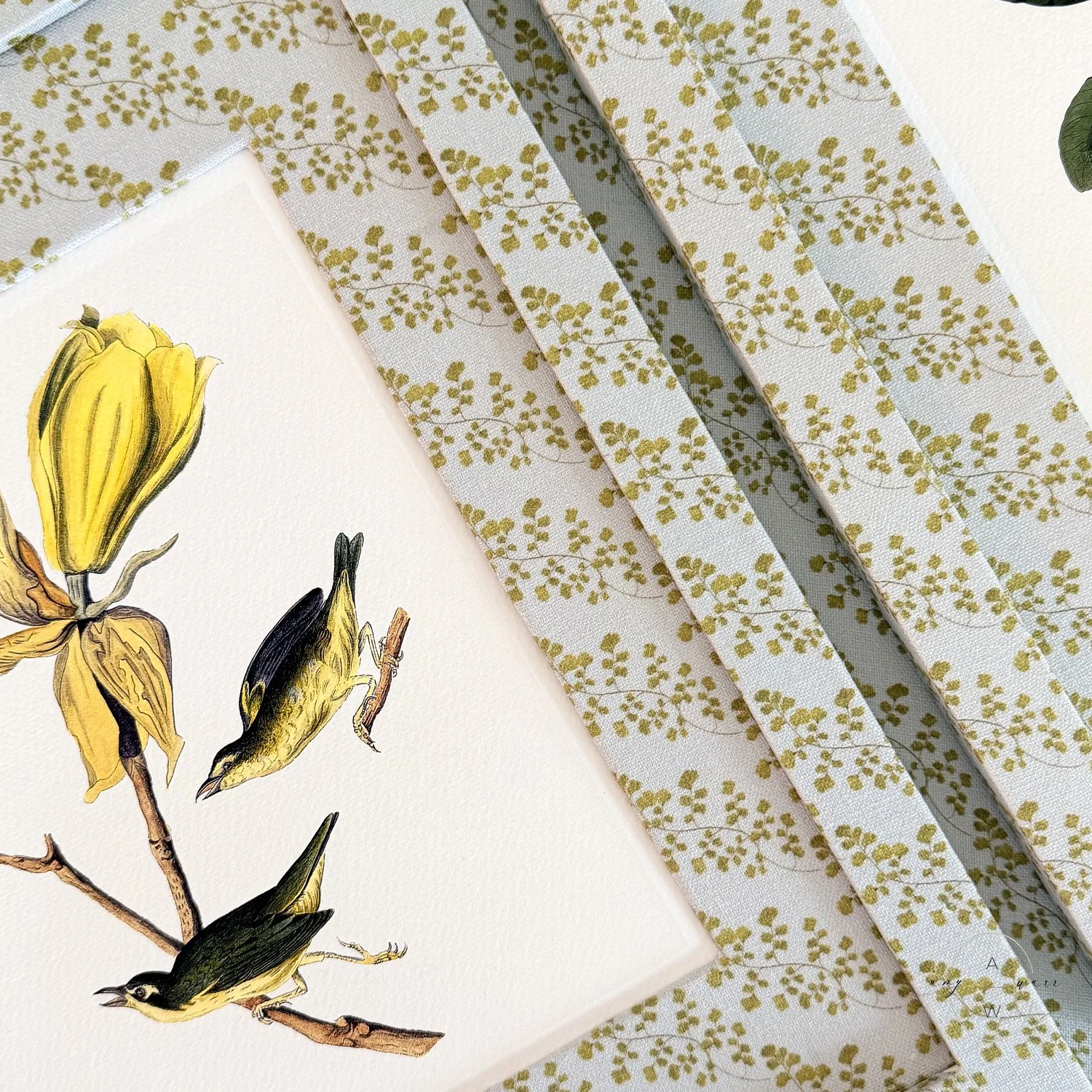 amy-warr-fabric-frames-audubon-print-kentucky-warbler.jpg