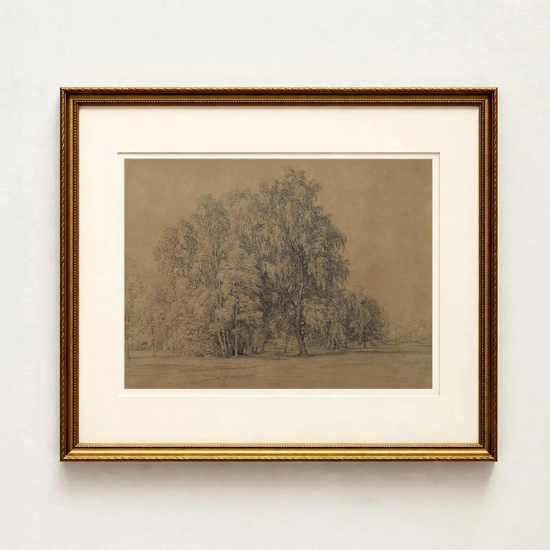 'Tree Study' — Brown Vintage Tree Drawing Art Print