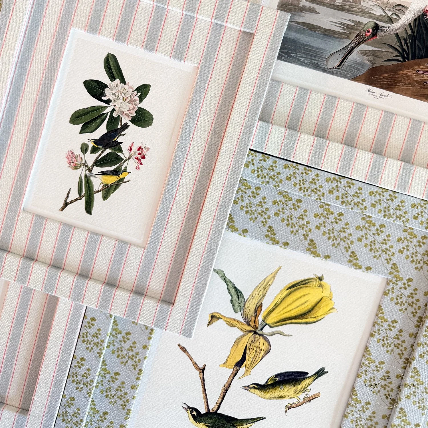 amy-warr-fabric-frame-audubon-bird-prints.jpg