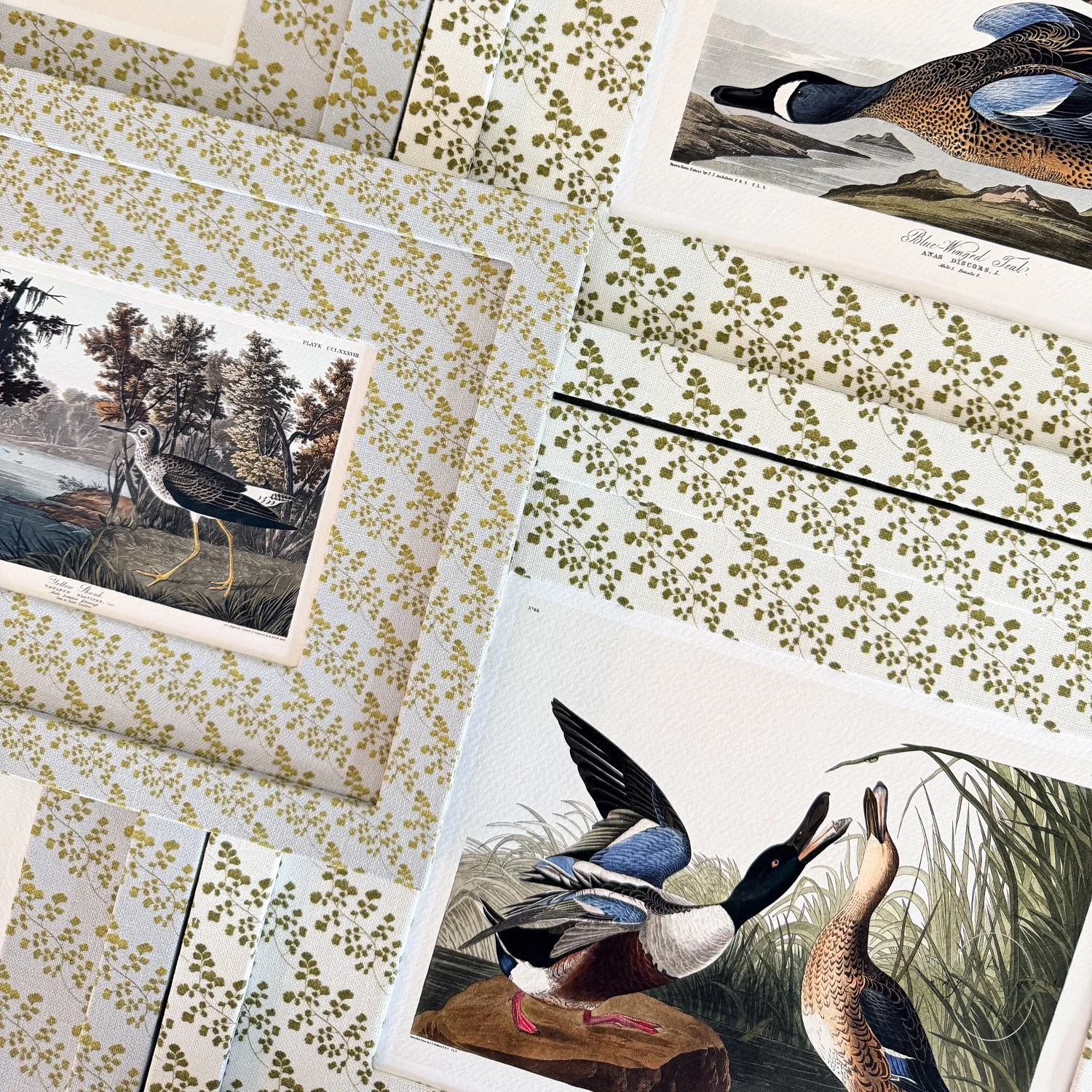 amy-warr-fabric-frame-audubon-bird-illustration.jpg