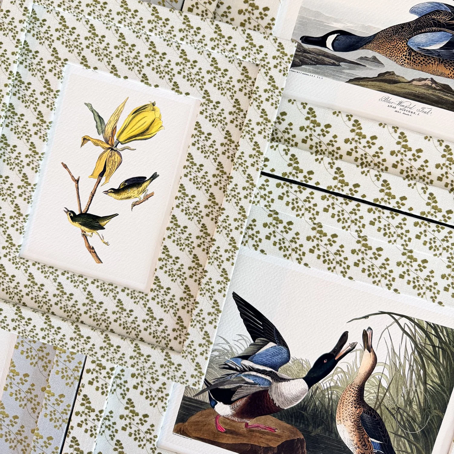 amy-warr-fabric-frame-audubon-illustrations.jpg
