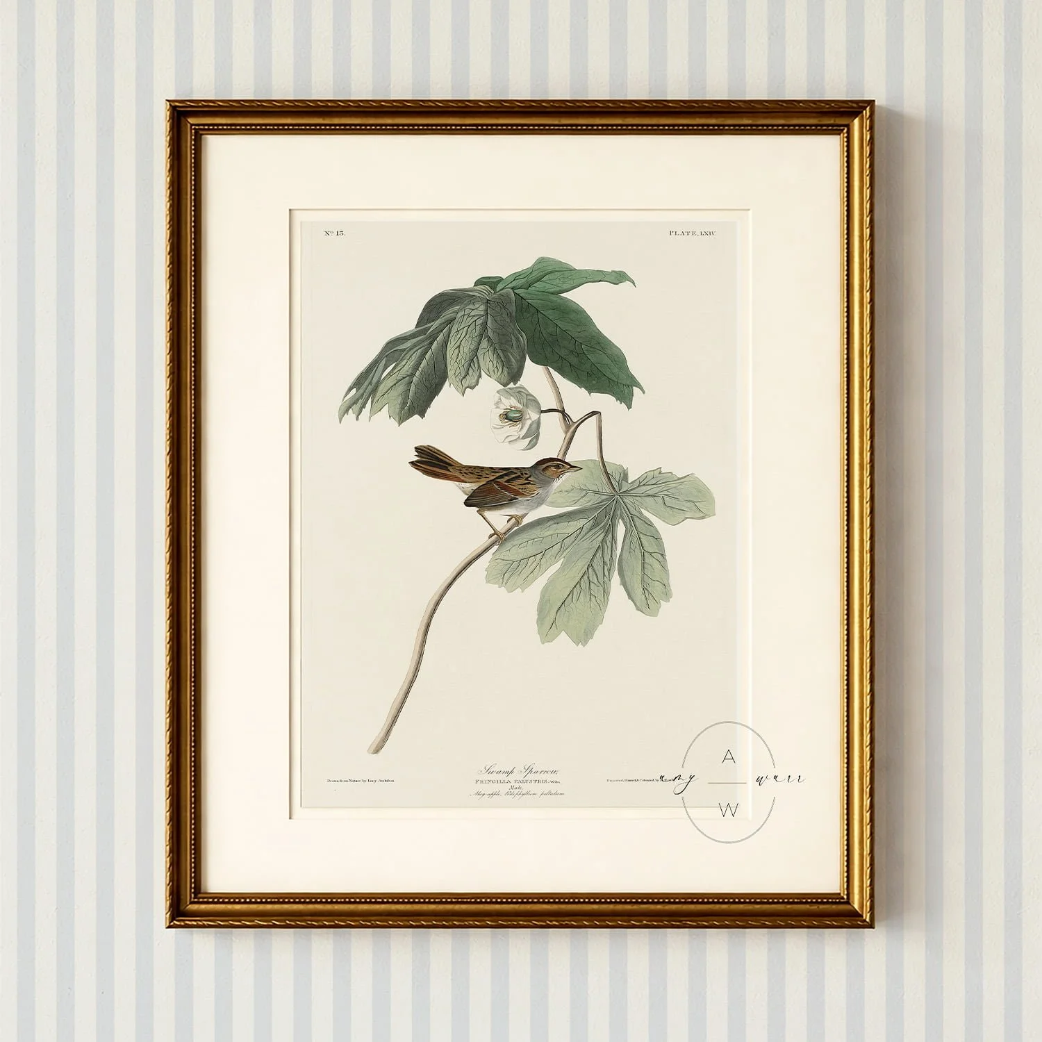 amy-warr-vintage-bird-framed-print.jpg