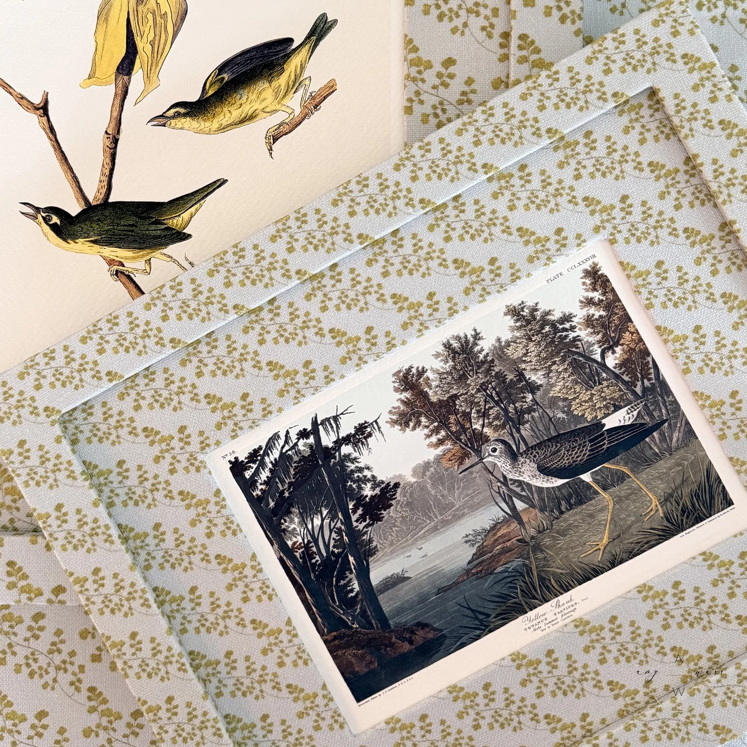 amy-warr-fabric-frame-audubon-bird-print-yellow-shank.jpg