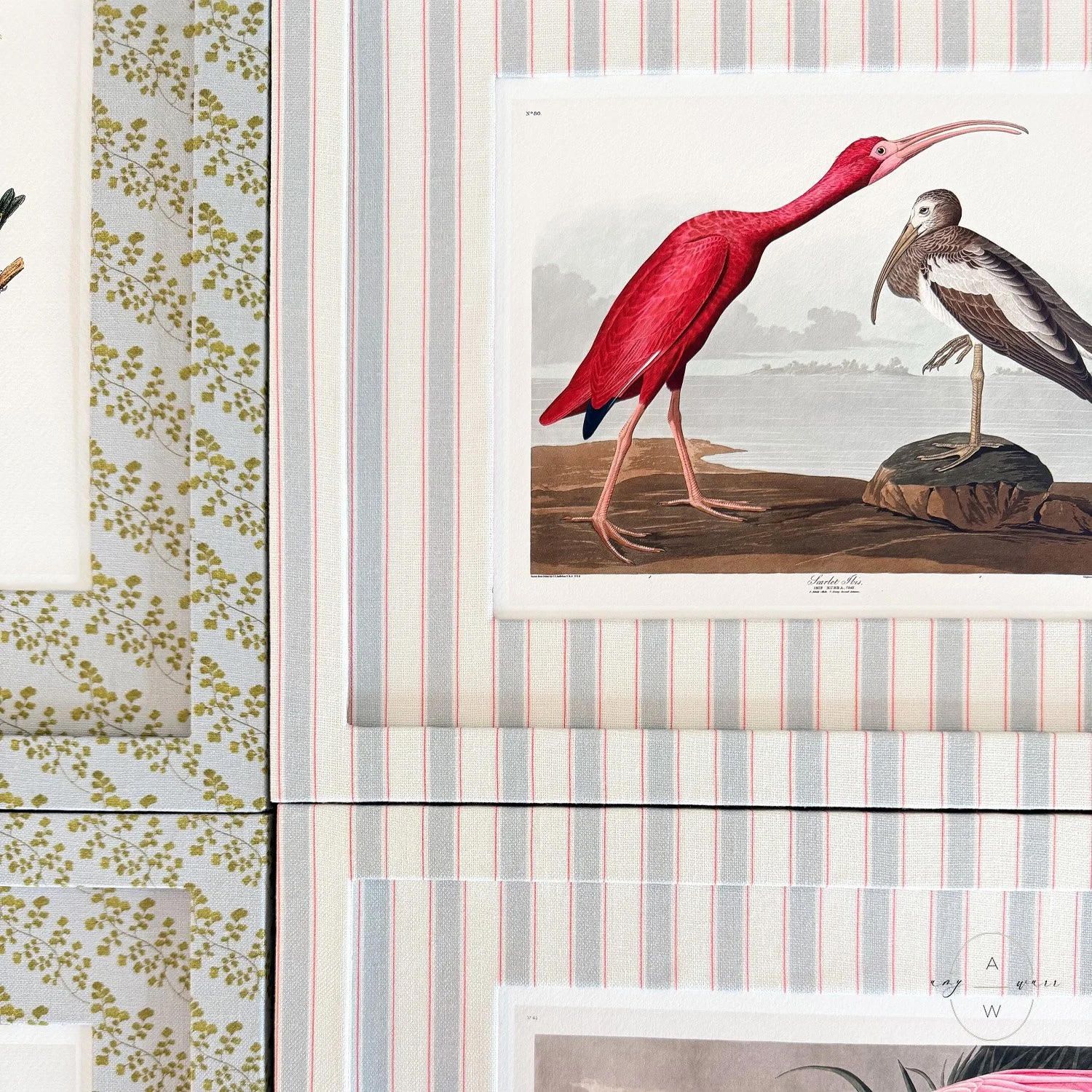 amy-warr-fabric-frames-audubon-print-ibis-scarlet.jpg