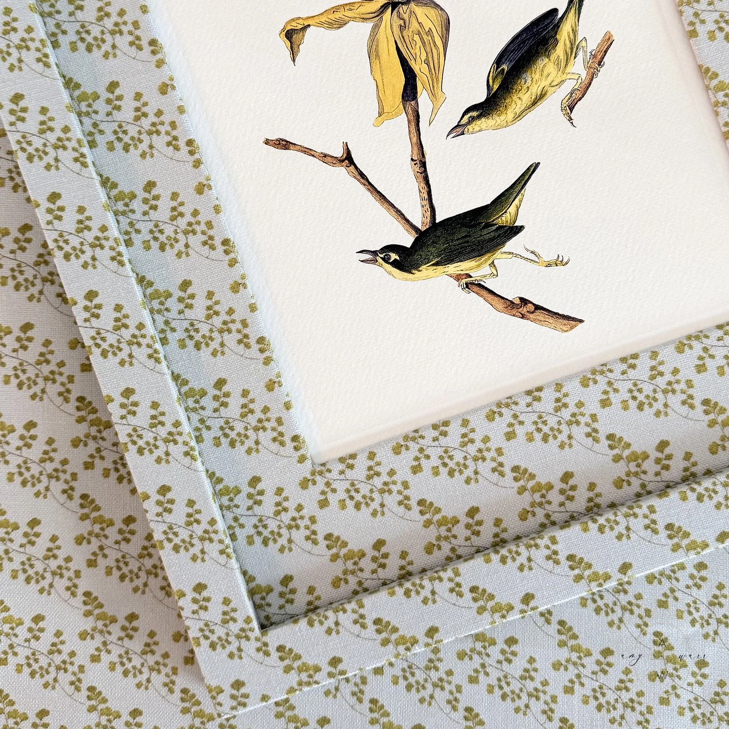 amy-warr-fabric-frames-audubon-bird.jpg