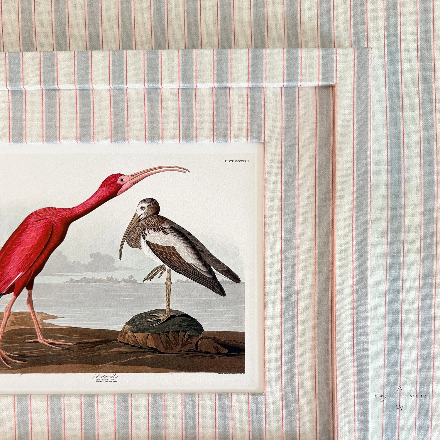 amy-warr-fabric-frames-audubon-scarlet-ibis.jpg