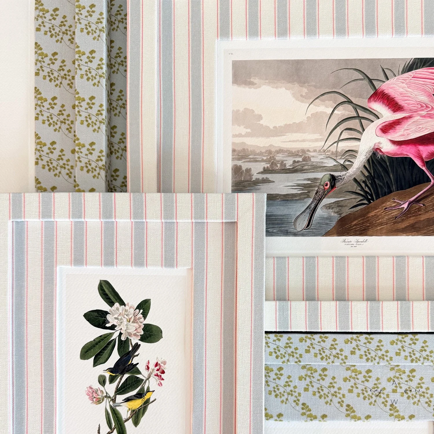 amy-warr-fabric-frames-audubon-print-illustration.jpg