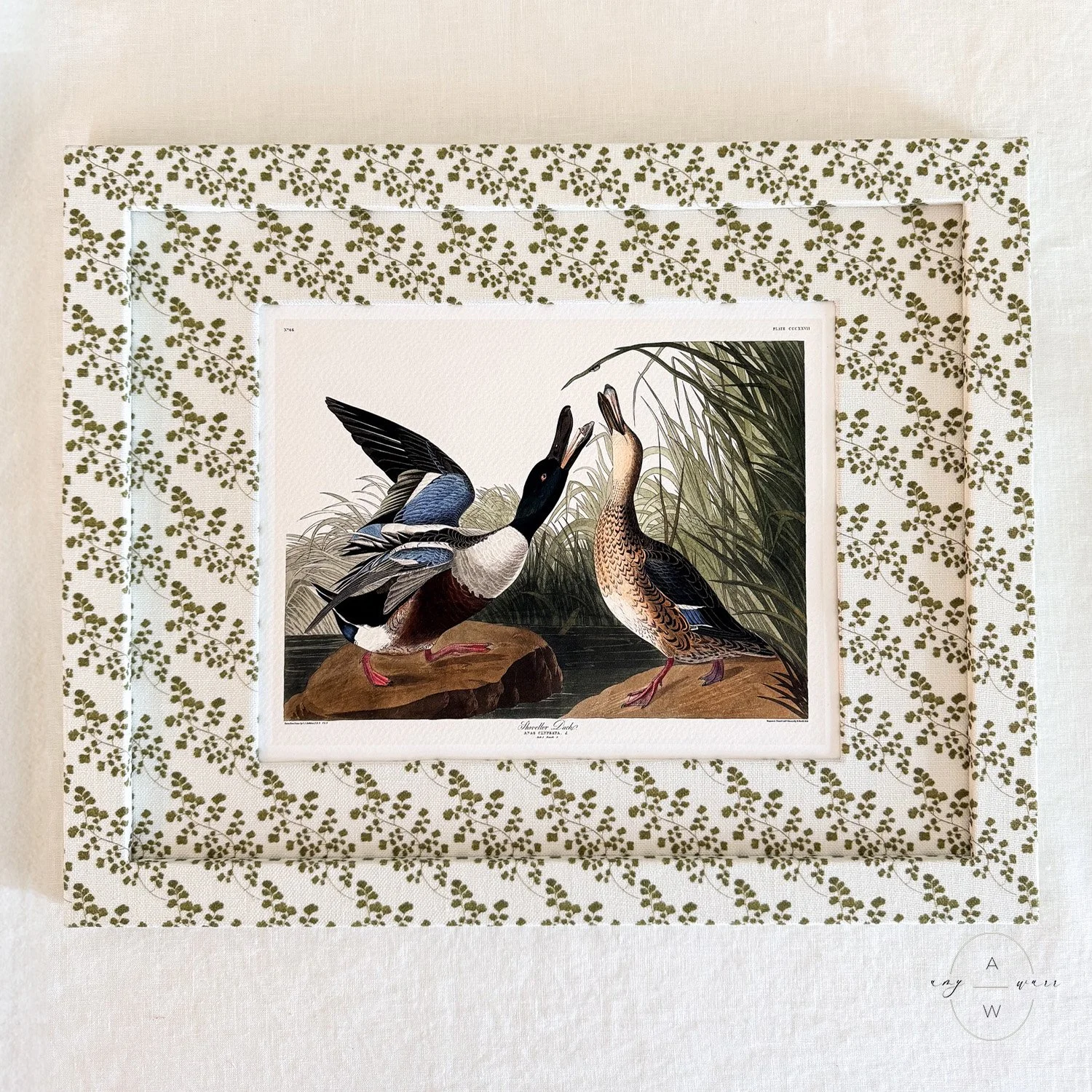 amy-warr-fabric-frames-audubon-print-shoveller-ducks.jpg