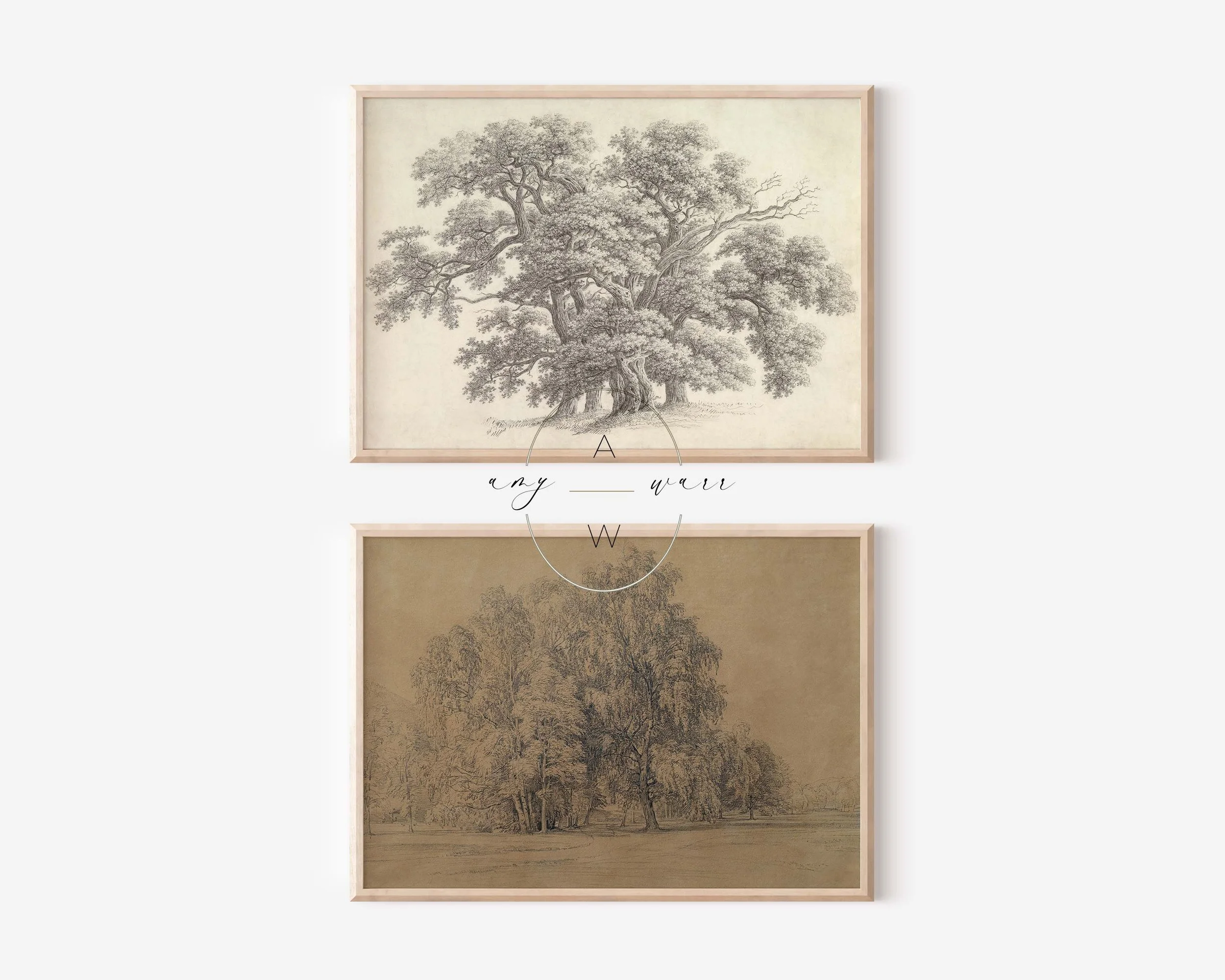 set of Vintage Tree Drawings.jpg