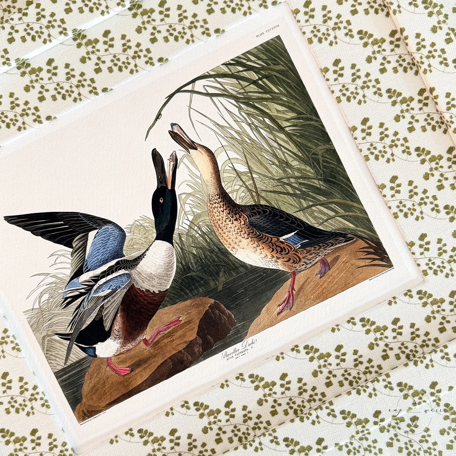 amy-warr-fabric-frames-audubon-ducks-print.jpg
