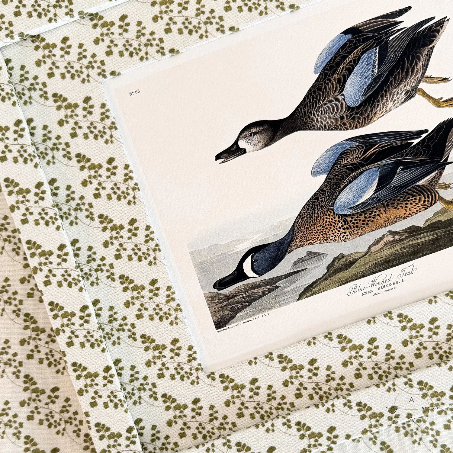 amy-warr-fabric-frames-audubon-teals.jpg