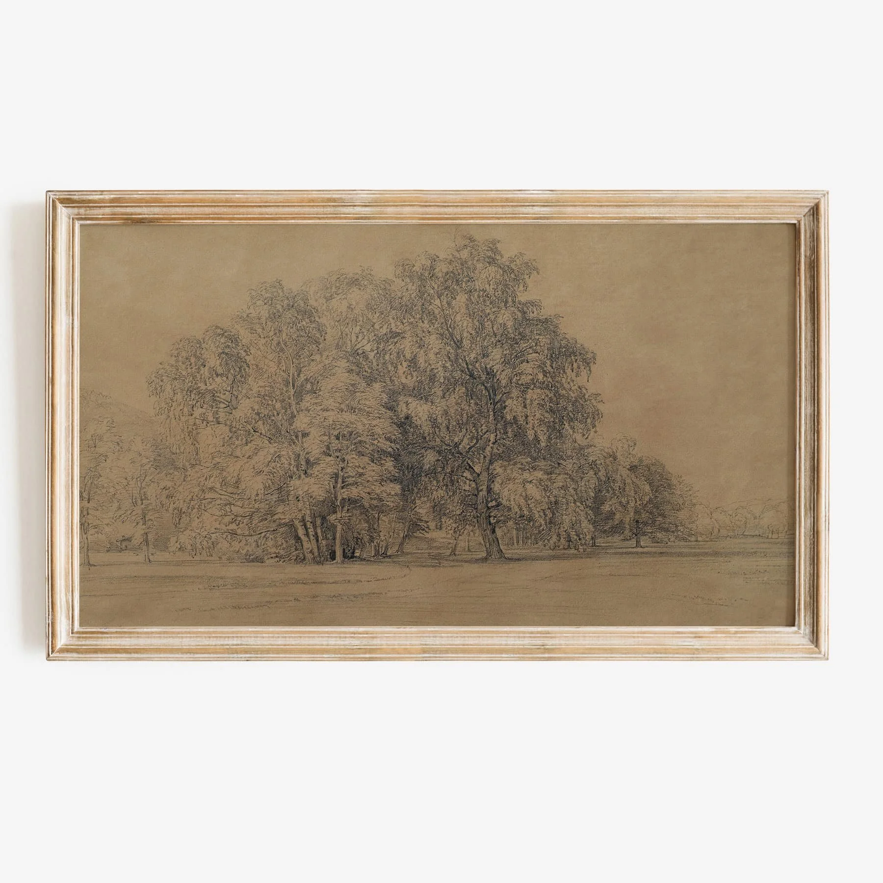 amy-warr-frame-tv-art-trees-landscape-drawing.jpg