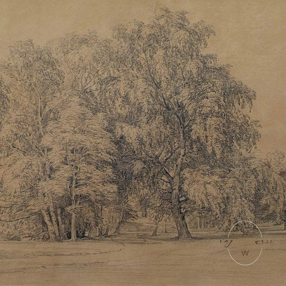 amy-warr-frame-tv-art-landscape-trees-drawing.jpg