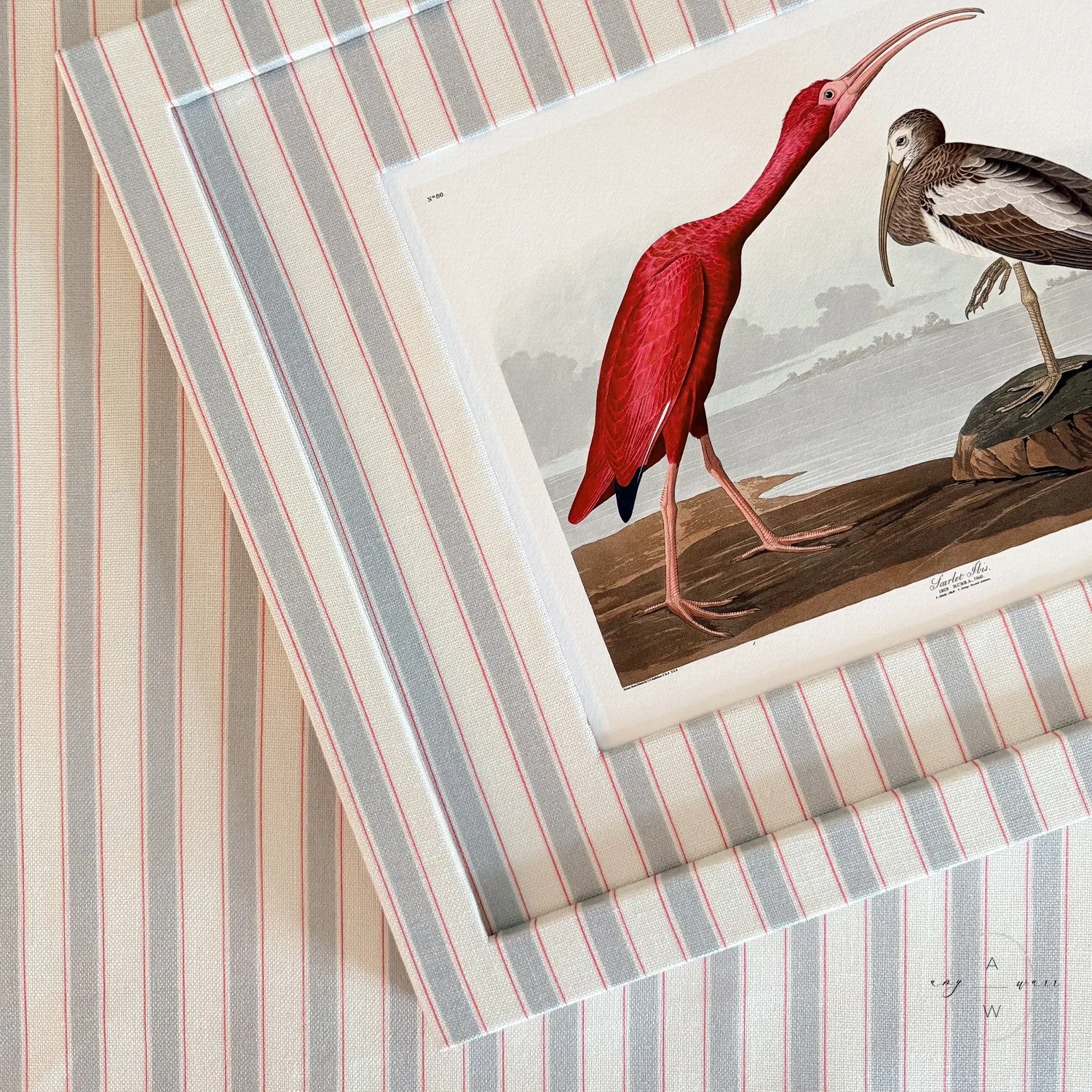 amy-warr-fabric-frames-audubon-print-ibis.jpg
