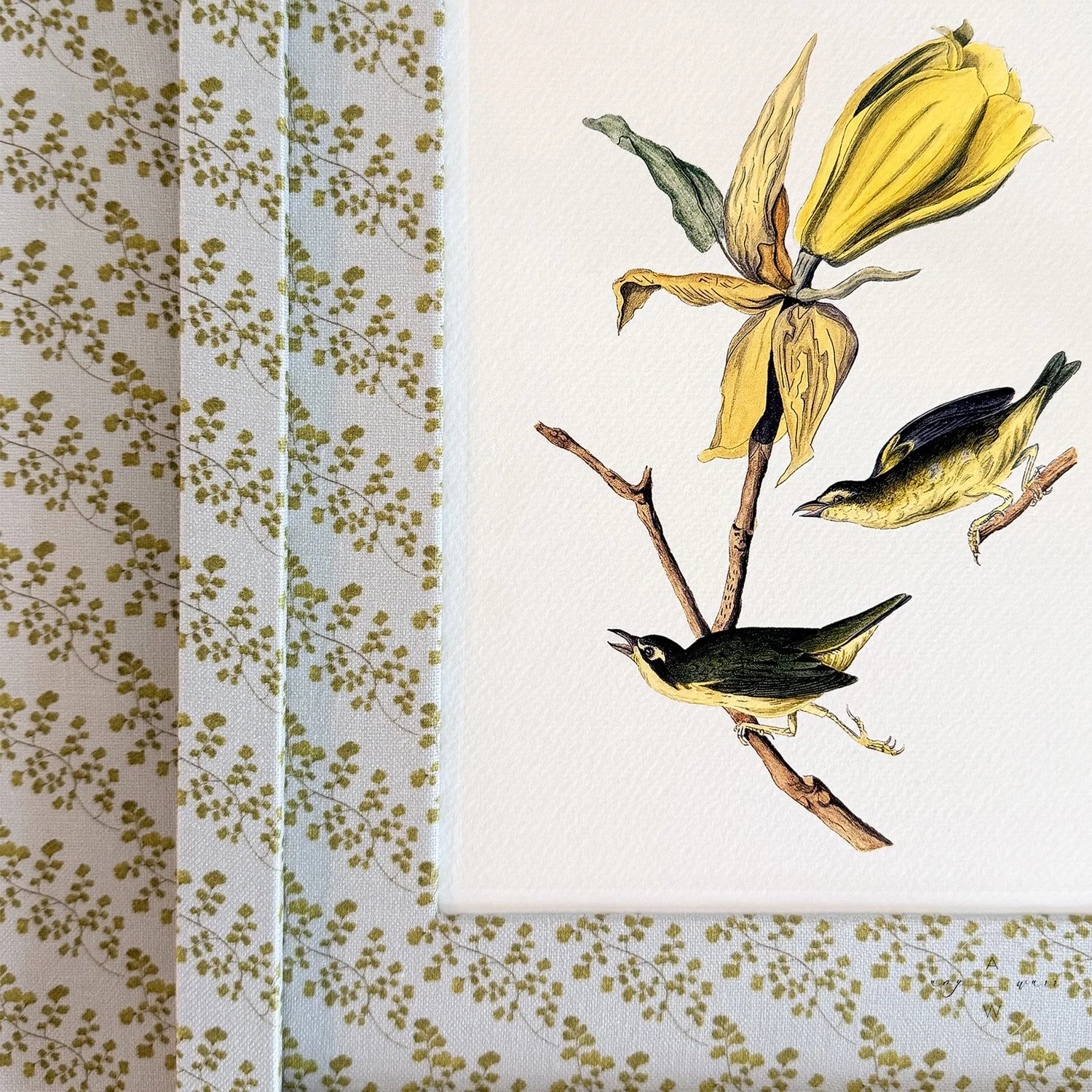 amy-warr-fabric-frames-audubon-print-kentucky-warbler-bird.jpg