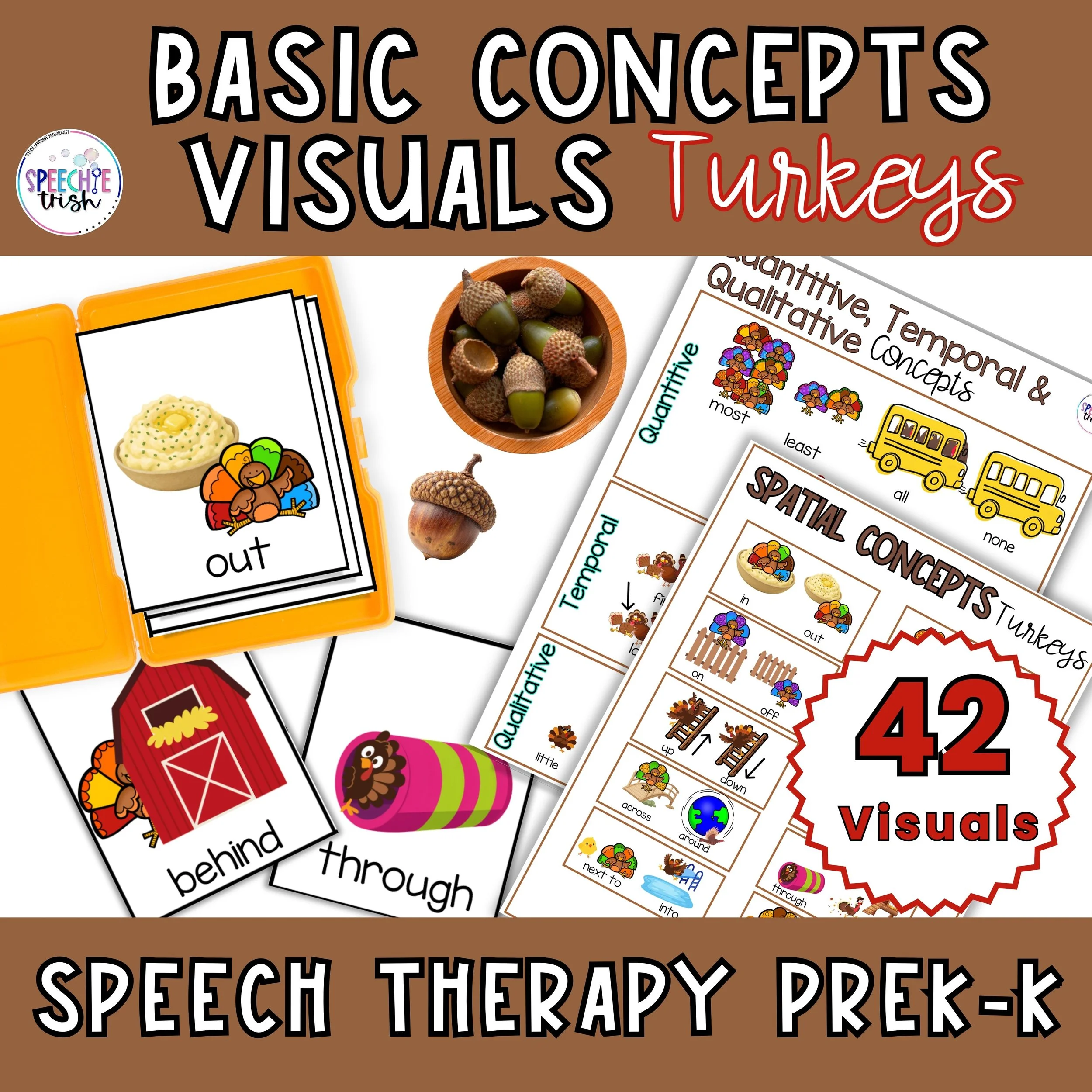 Pictures with turkeys in different positions with basic concepts visuals card for speech therapy