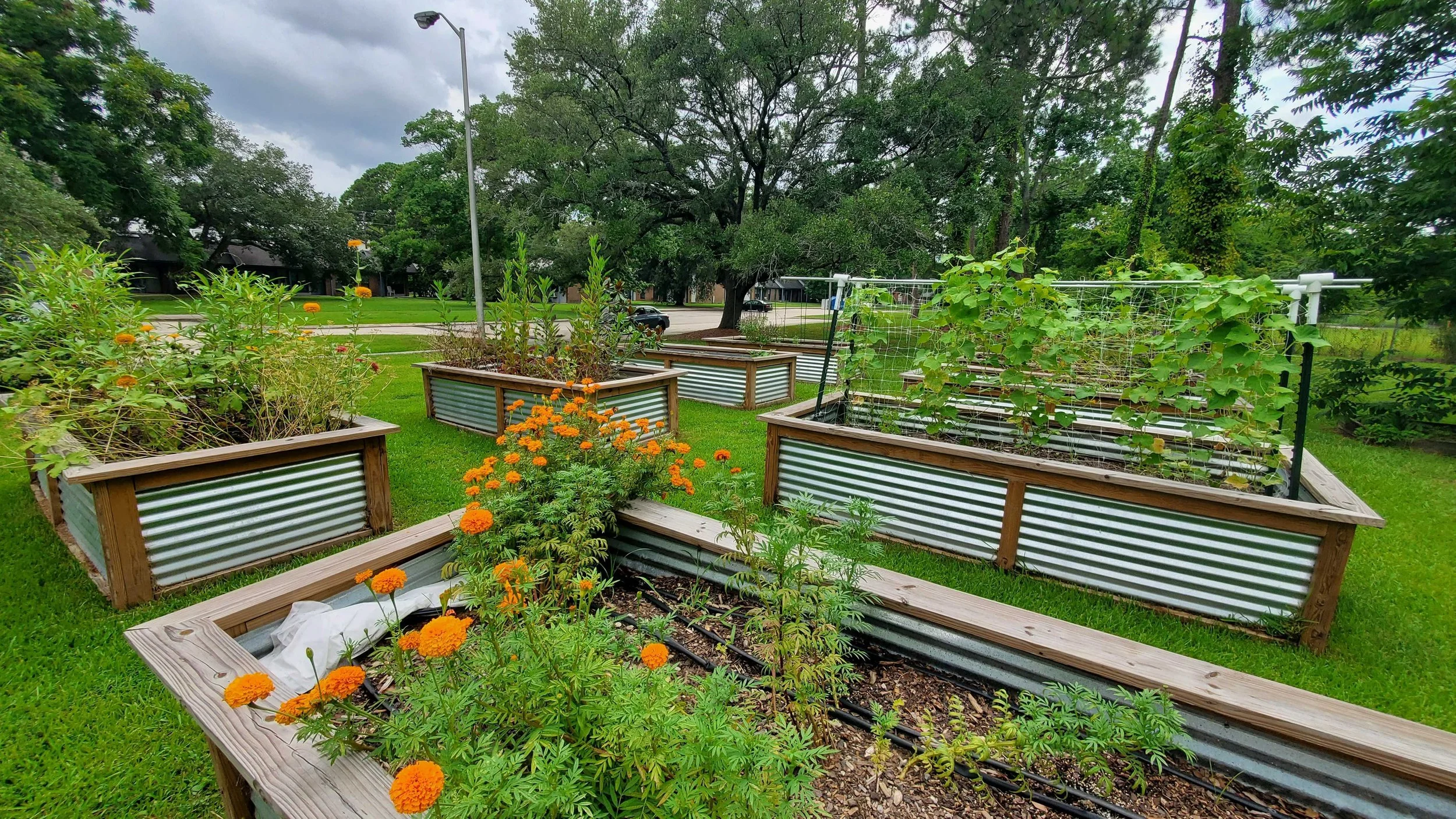 Fresh Food Connect Near Me