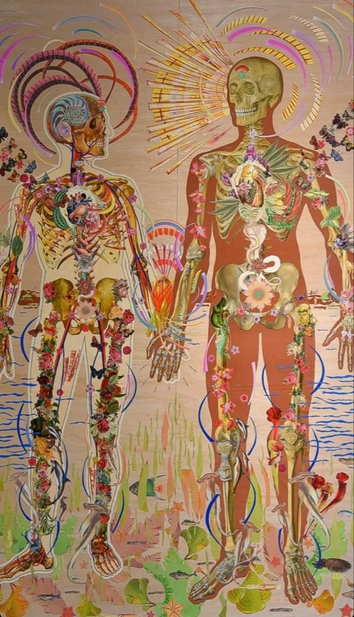 Human Design Workshop 
