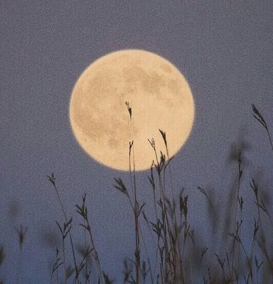March Full Moon 