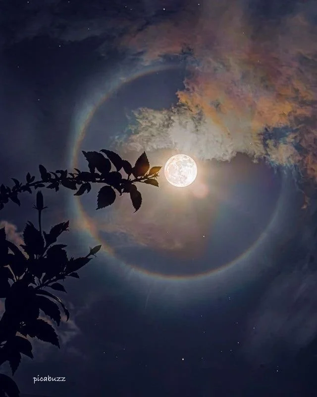 Pink Moon