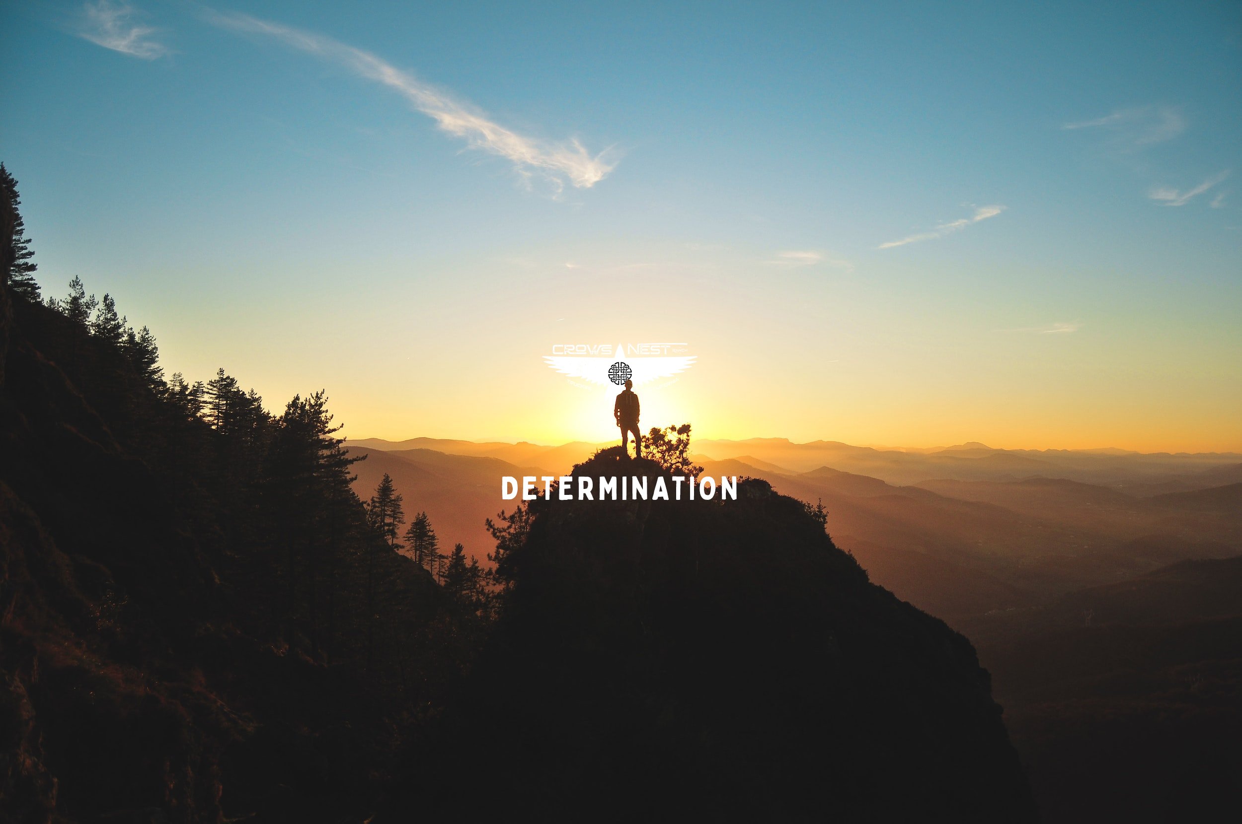 Destined &amp; Determined