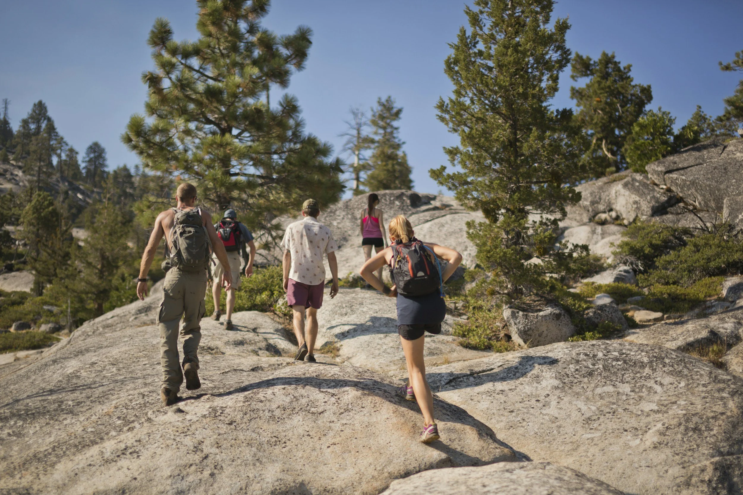 Group of hikers walking on rocky terrain surrounded by pine trees, under a clear blue sky.