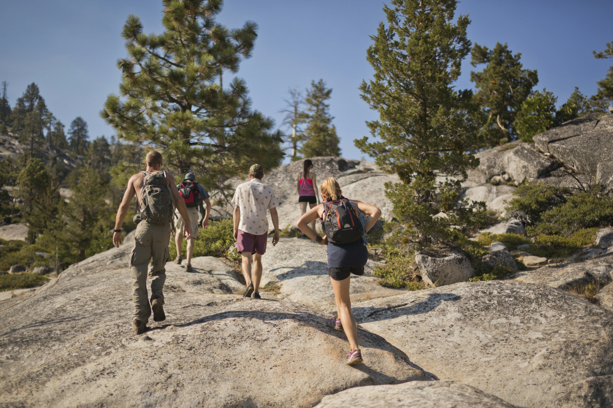 Group of hikers walking uphill on a rocky terrain with trees and clear skies