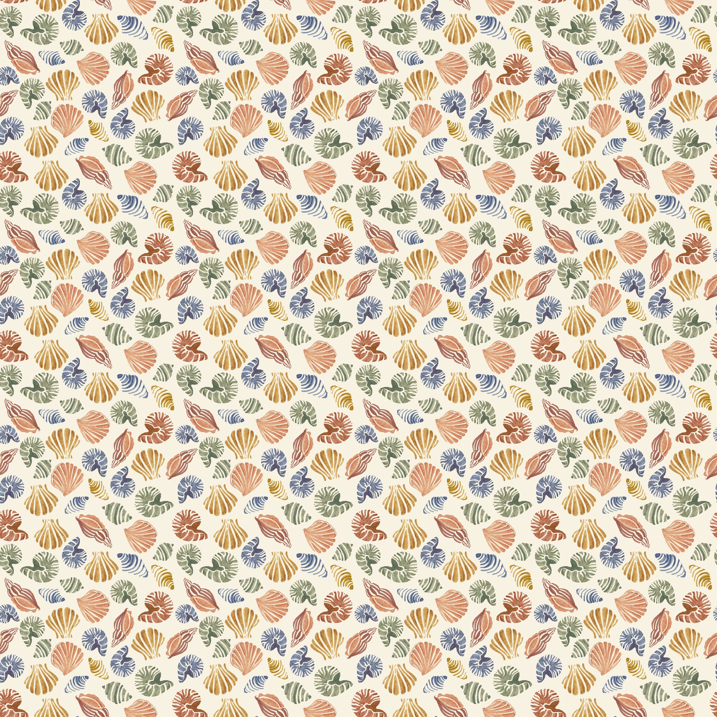 shells.jpg
