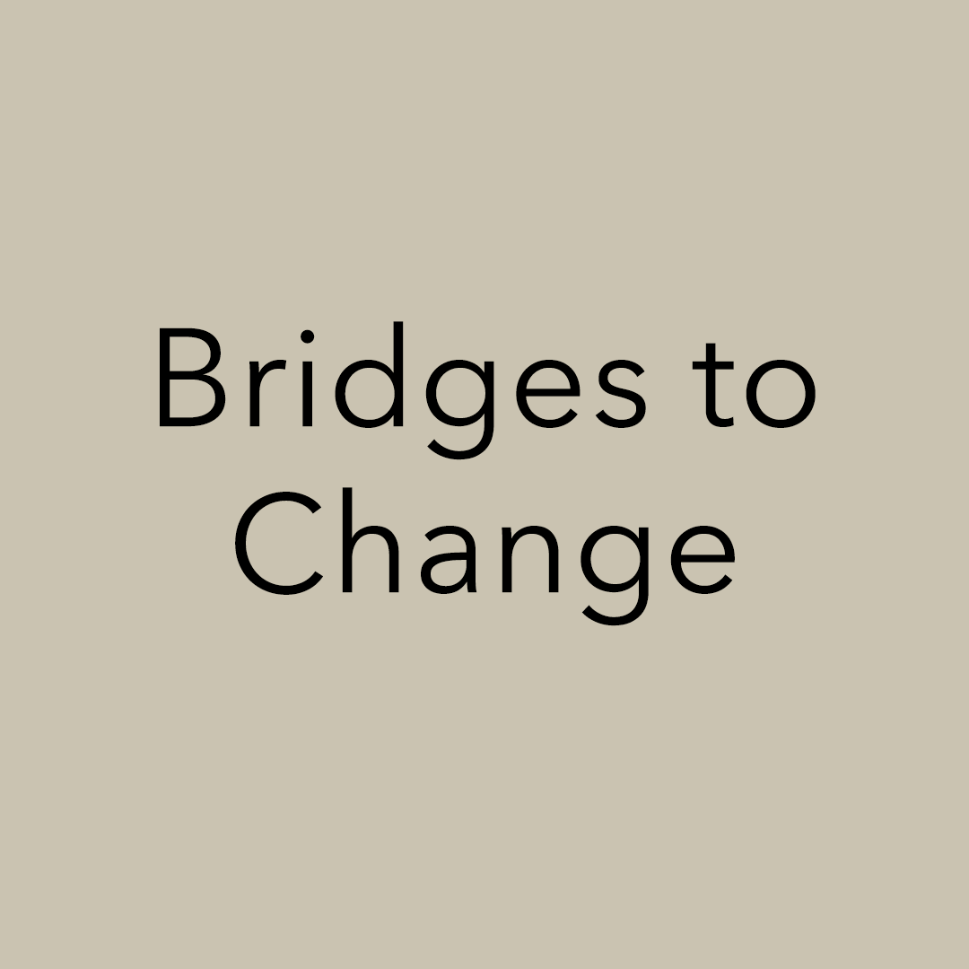 Bridges to Change.png